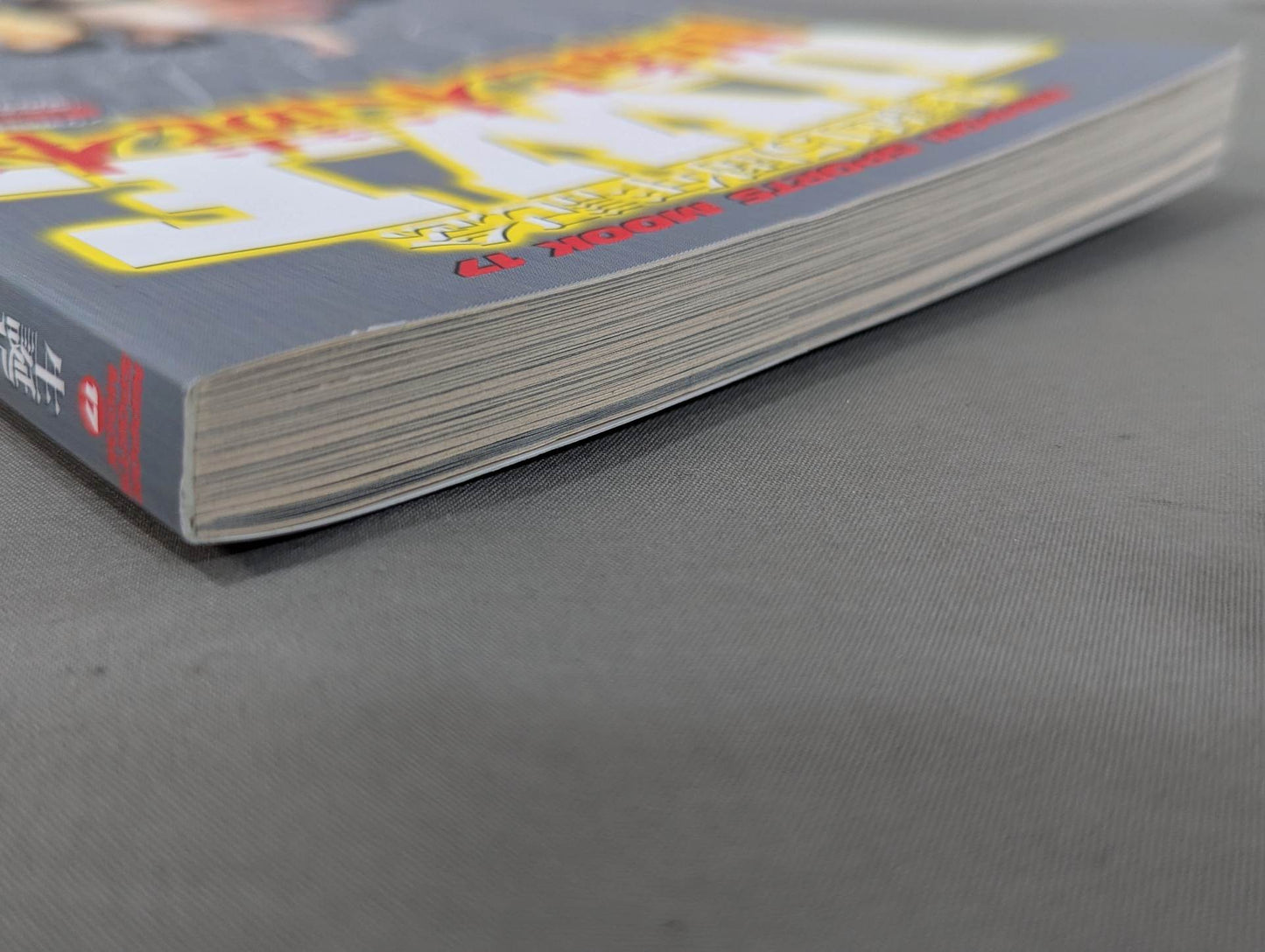 15th Anniversary U.W.F. End of the Century Reading Book