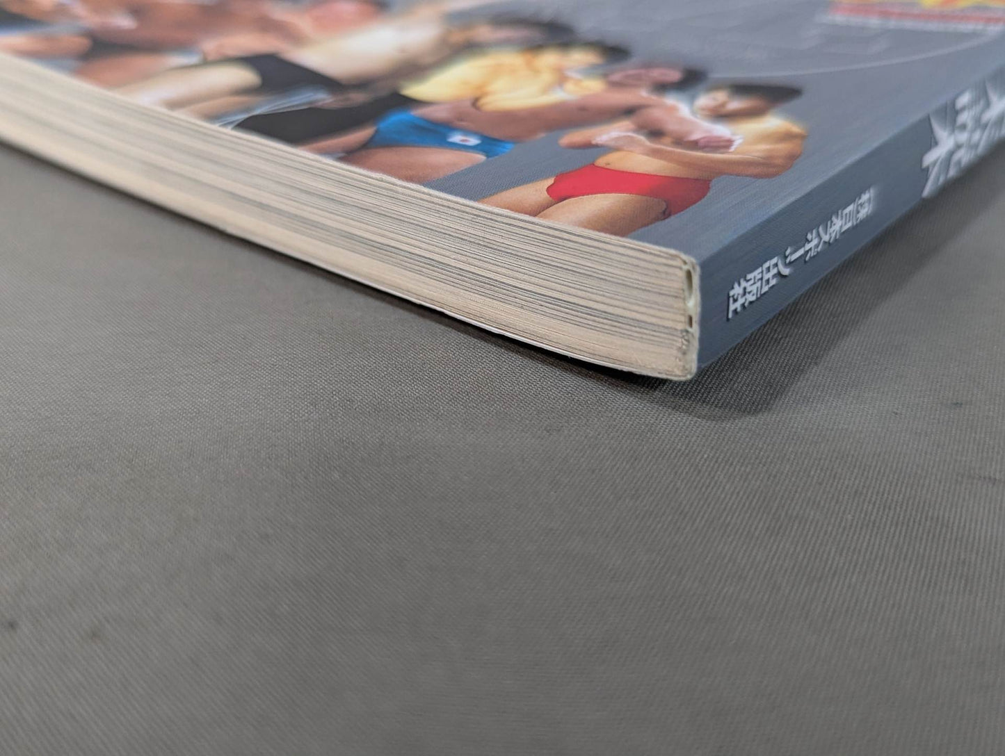 15th Anniversary U.W.F. End of the Century Reading Book