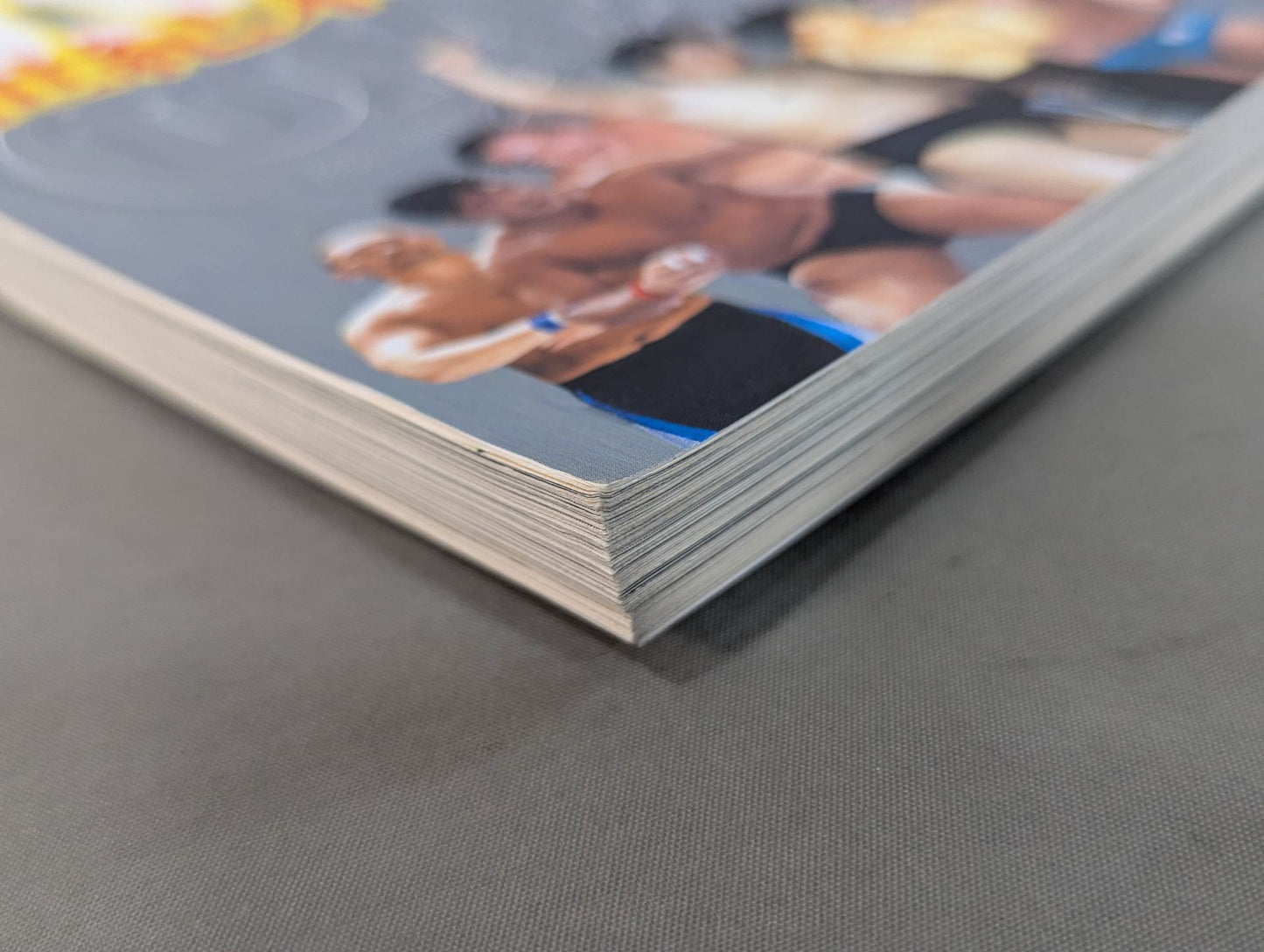 15th Anniversary U.W.F. End of the Century Reading Book