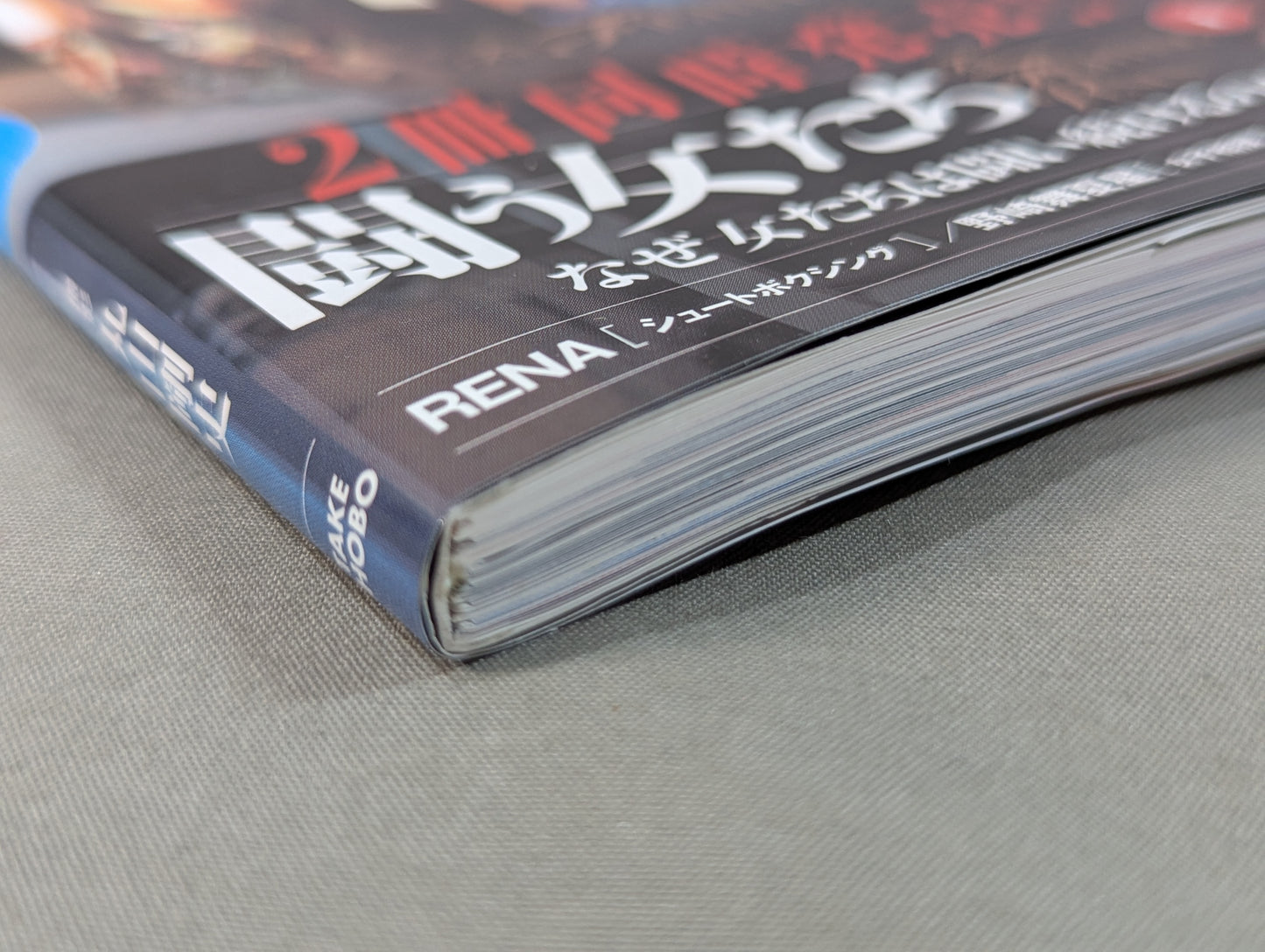 Women Who Fight Vol.2 Why Do Women Keep Fighting?