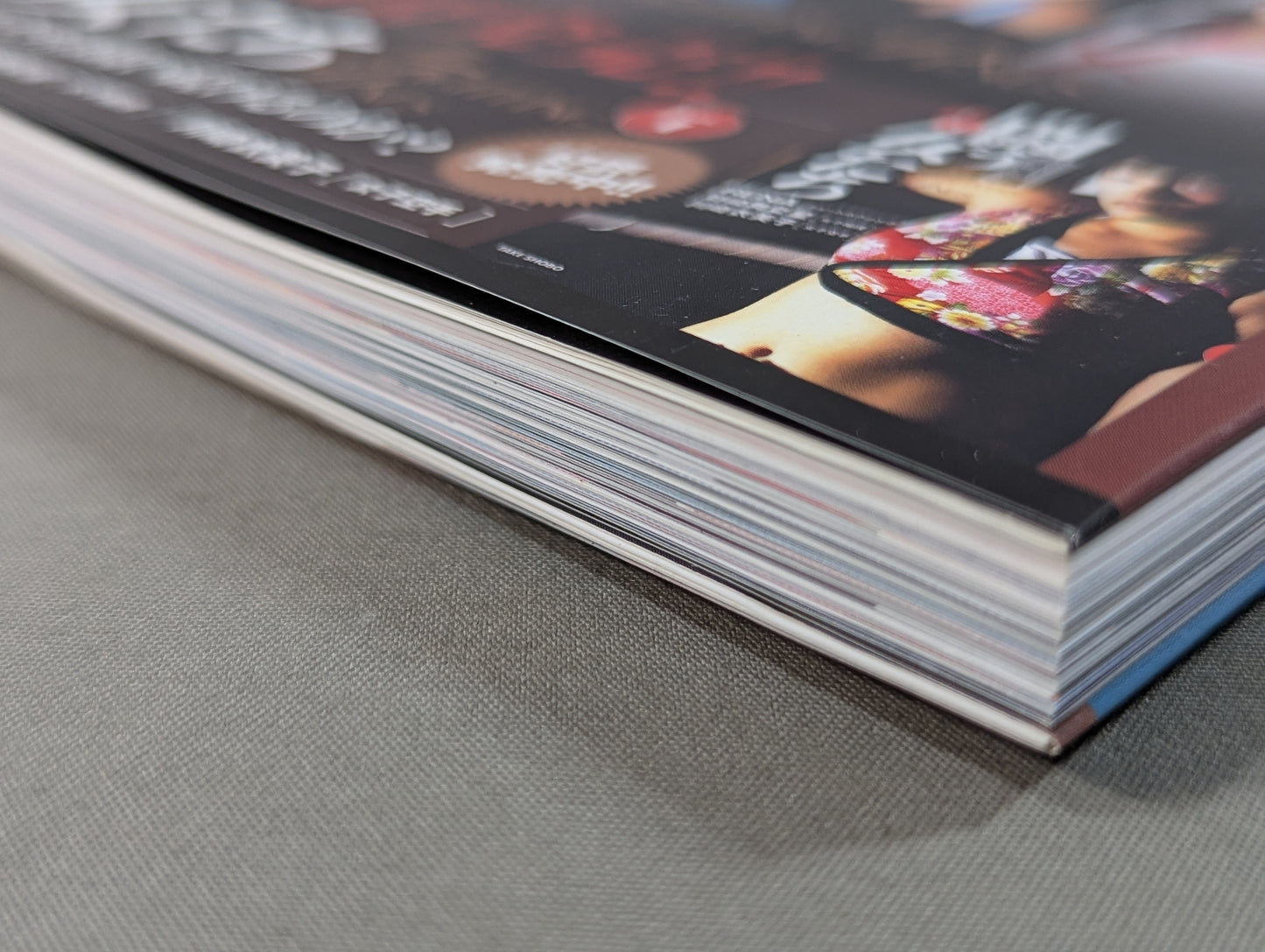 Women Who Fight Vol.2 Why Do Women Keep Fighting?