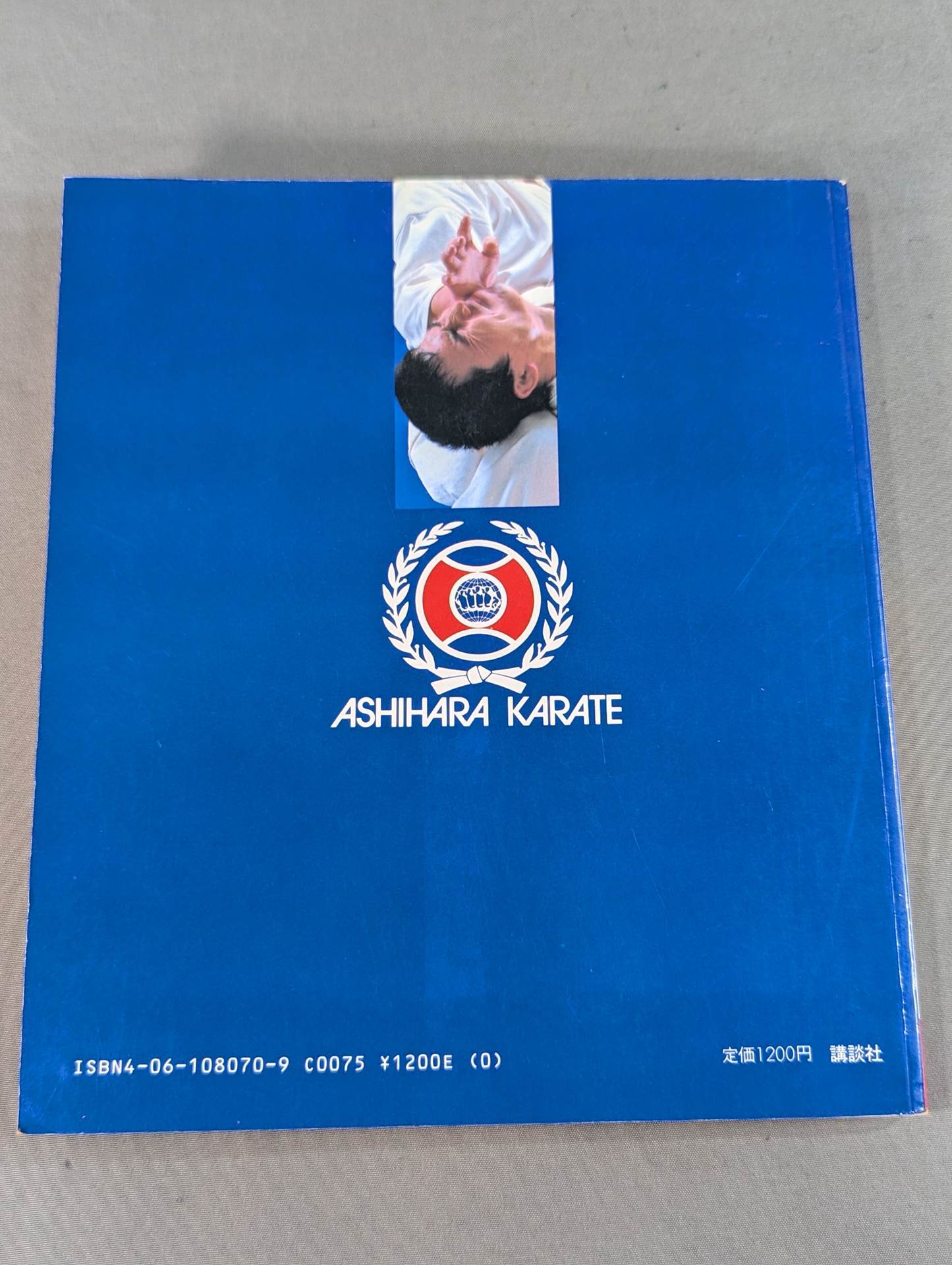 実戦!芦原カラテ STREET FIGHT – 闘道館