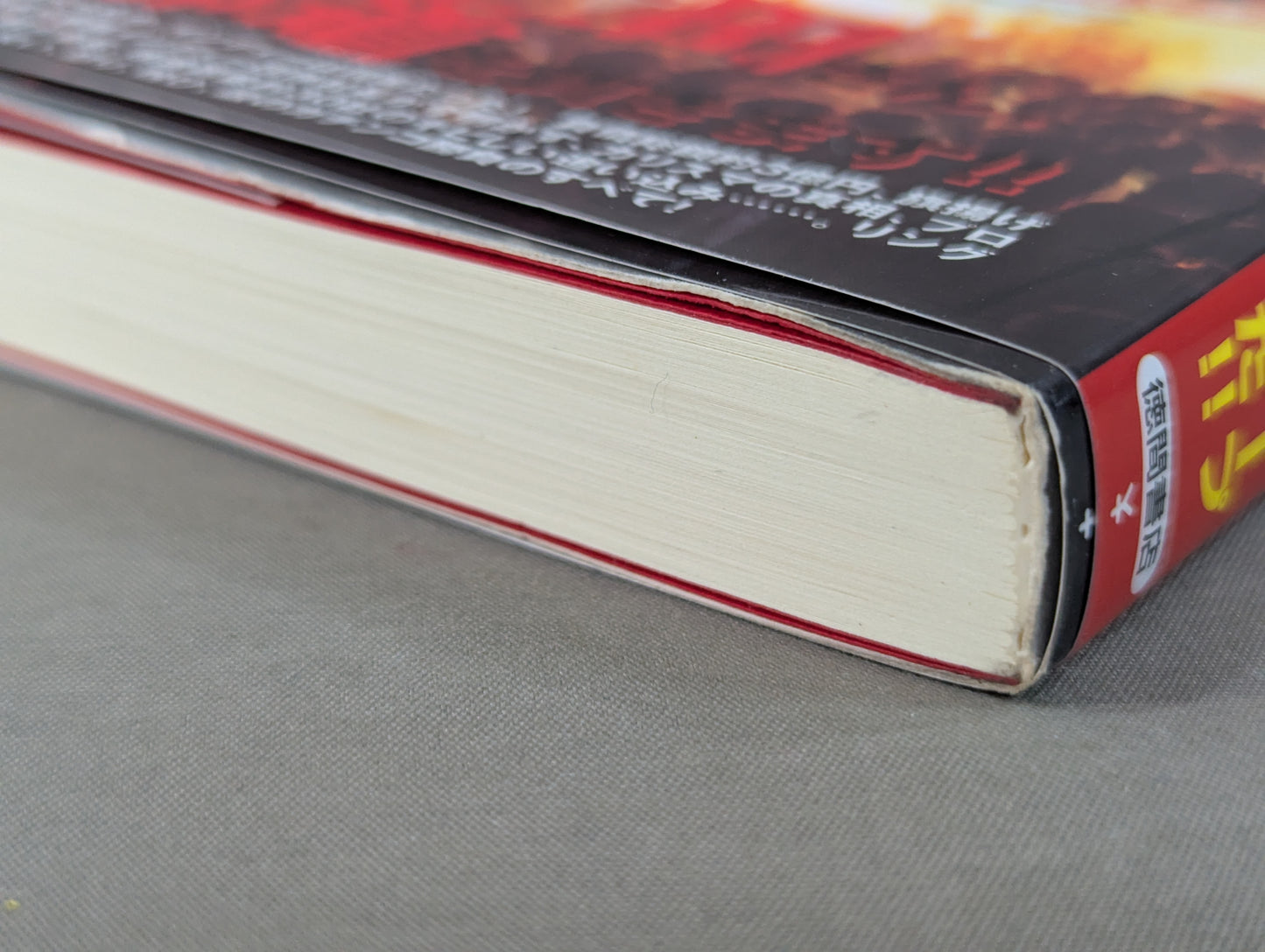 Bankruptcy! This is how FMW charismatic indie Pro Wrestling was destroyed