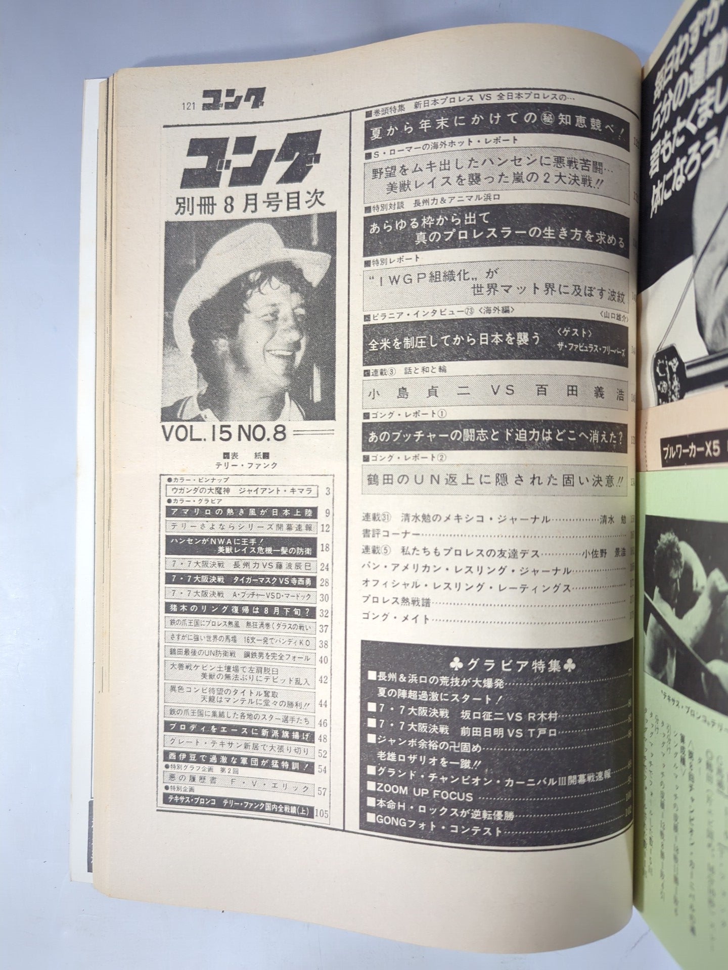 別冊ゴングVol.15 No.8
