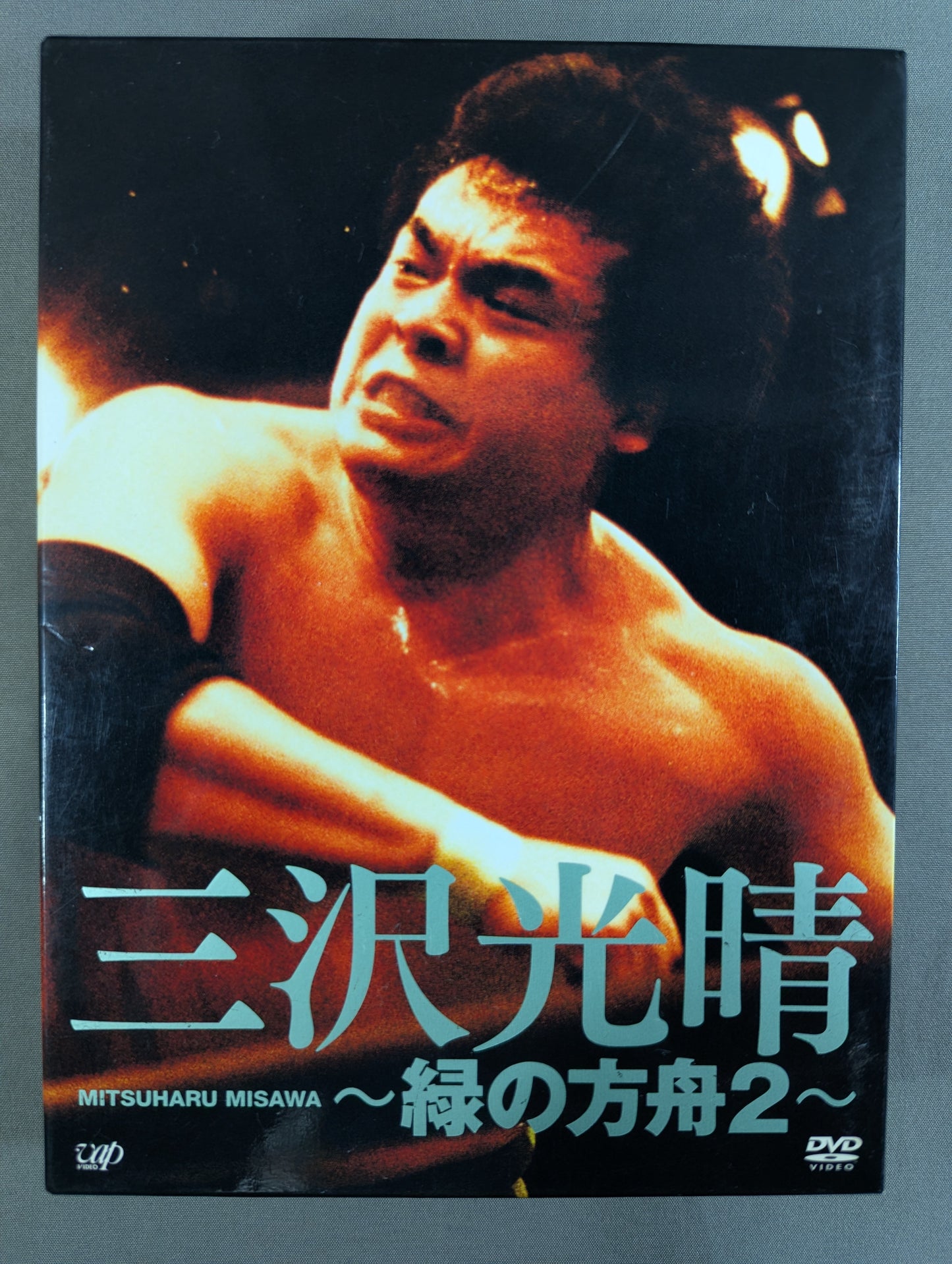 Mitsuharu Misawa  ~Green Ark 2~