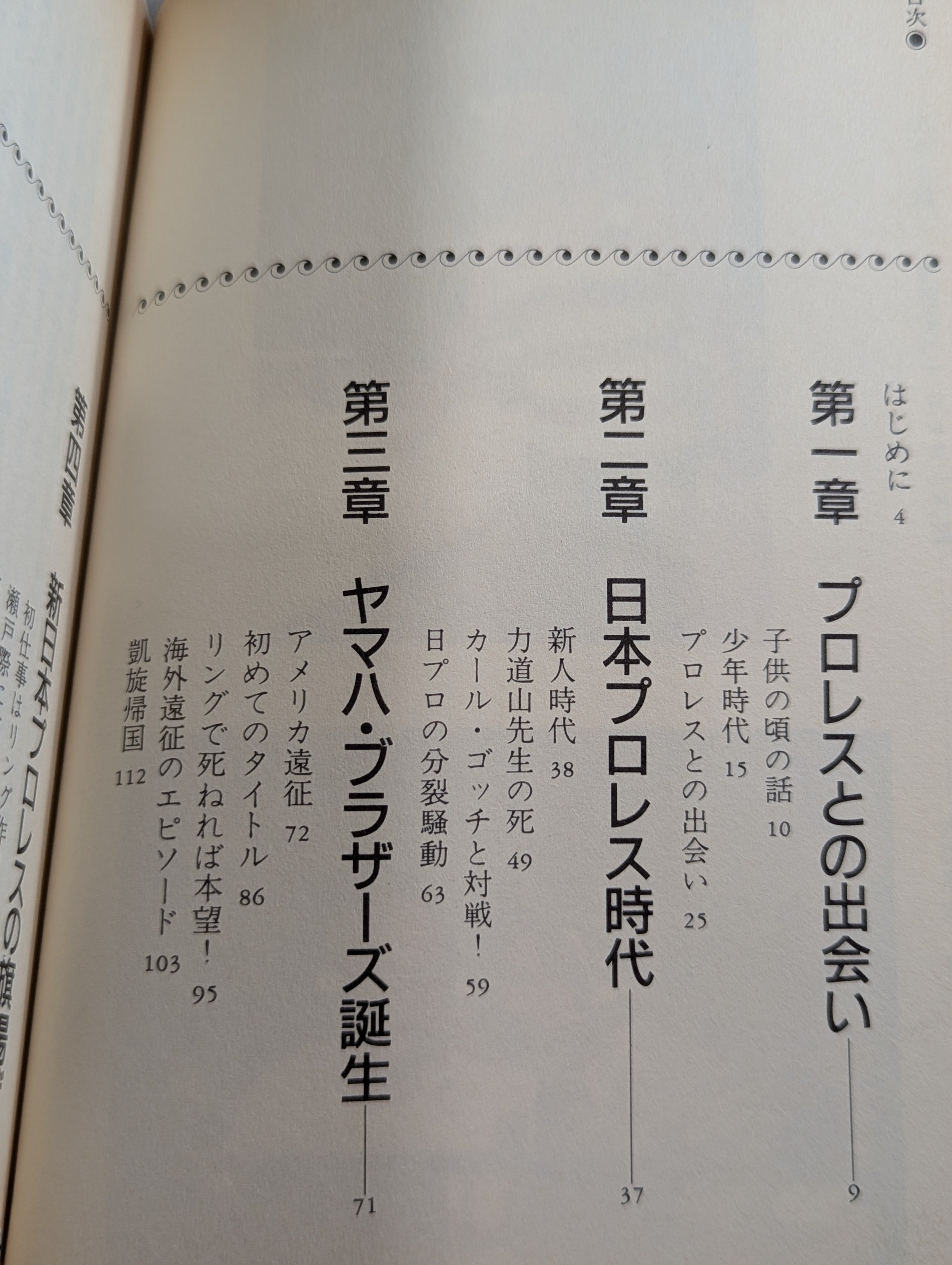 直筆サイン入り】山本小鉄 鬼軍曹のプロレス一代記 – 闘道館