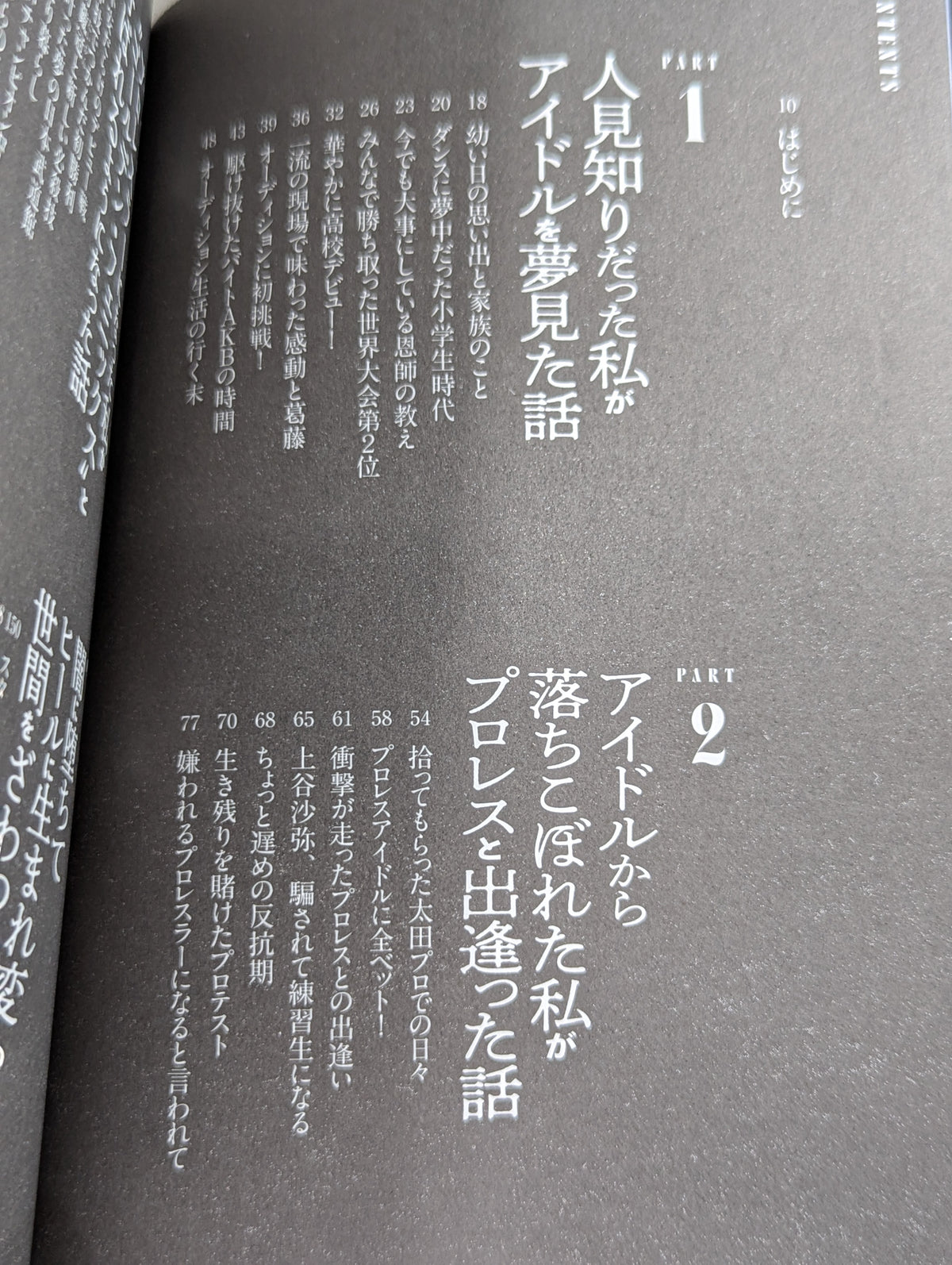 アイドルで落ちこぼれだった私がプロレス界のセンターに立った話