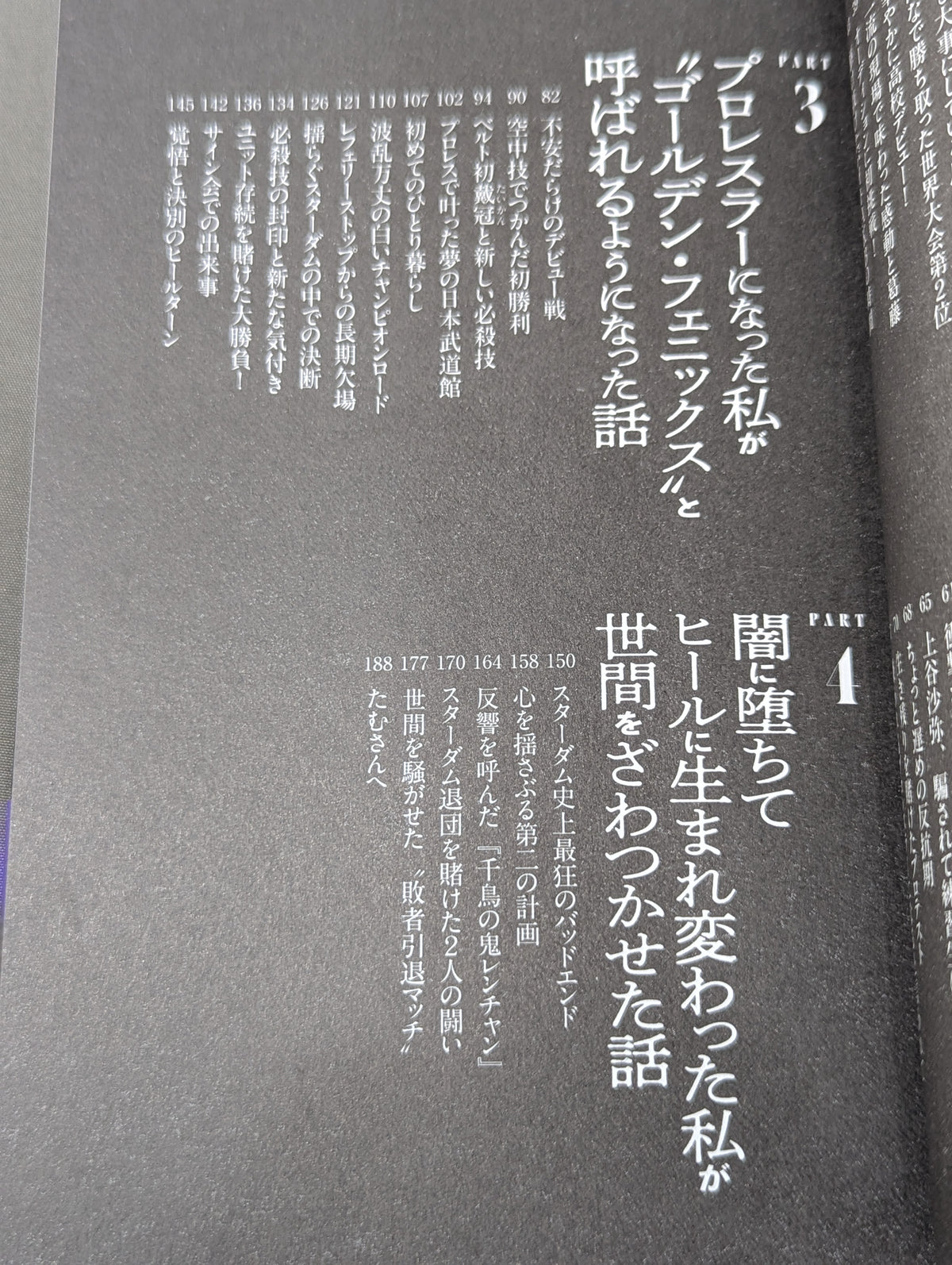 アイドルで落ちこぼれだった私がプロレス界のセンターに立った話