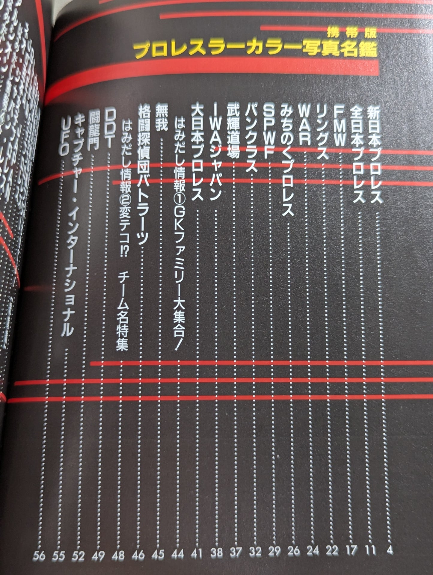 99年プロレスラーカラー写真名鑑［携帯版]