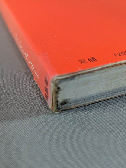 Soul Weapon (Soul Fighting) A message from Bruce to all fighting men