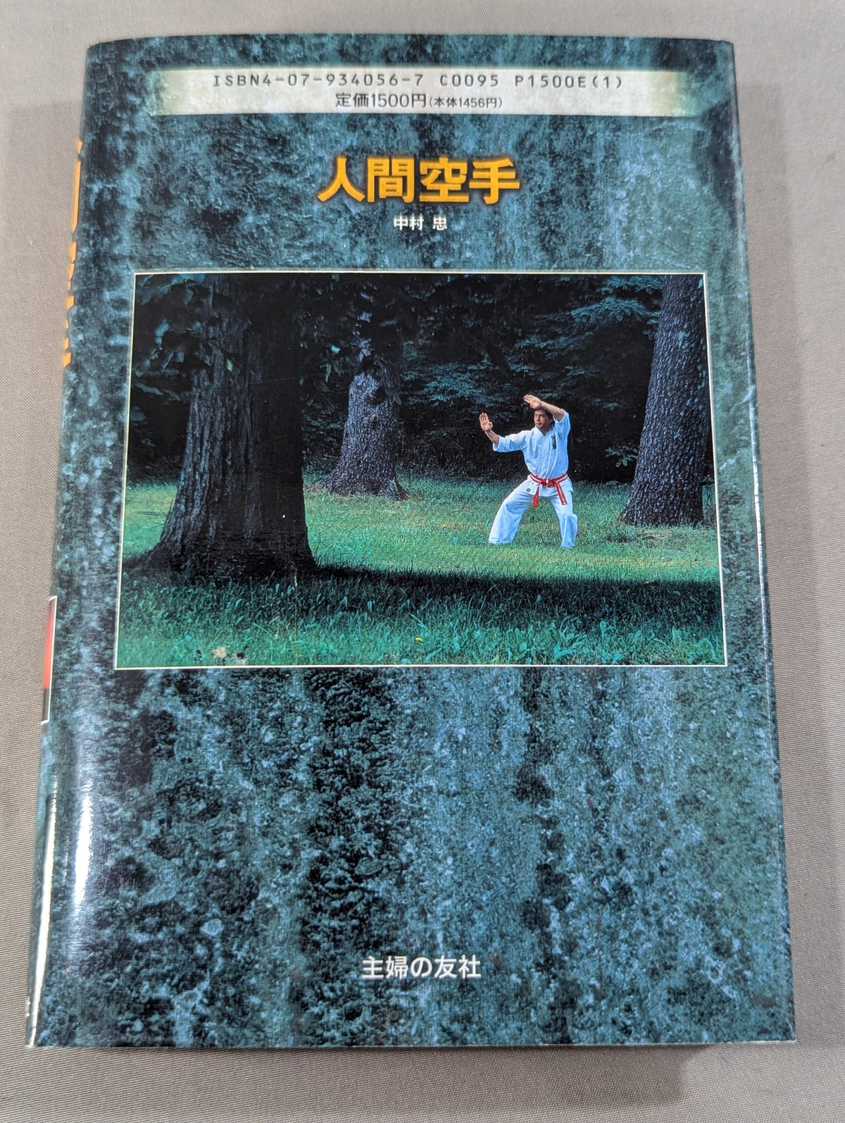 HUMAN KARATE