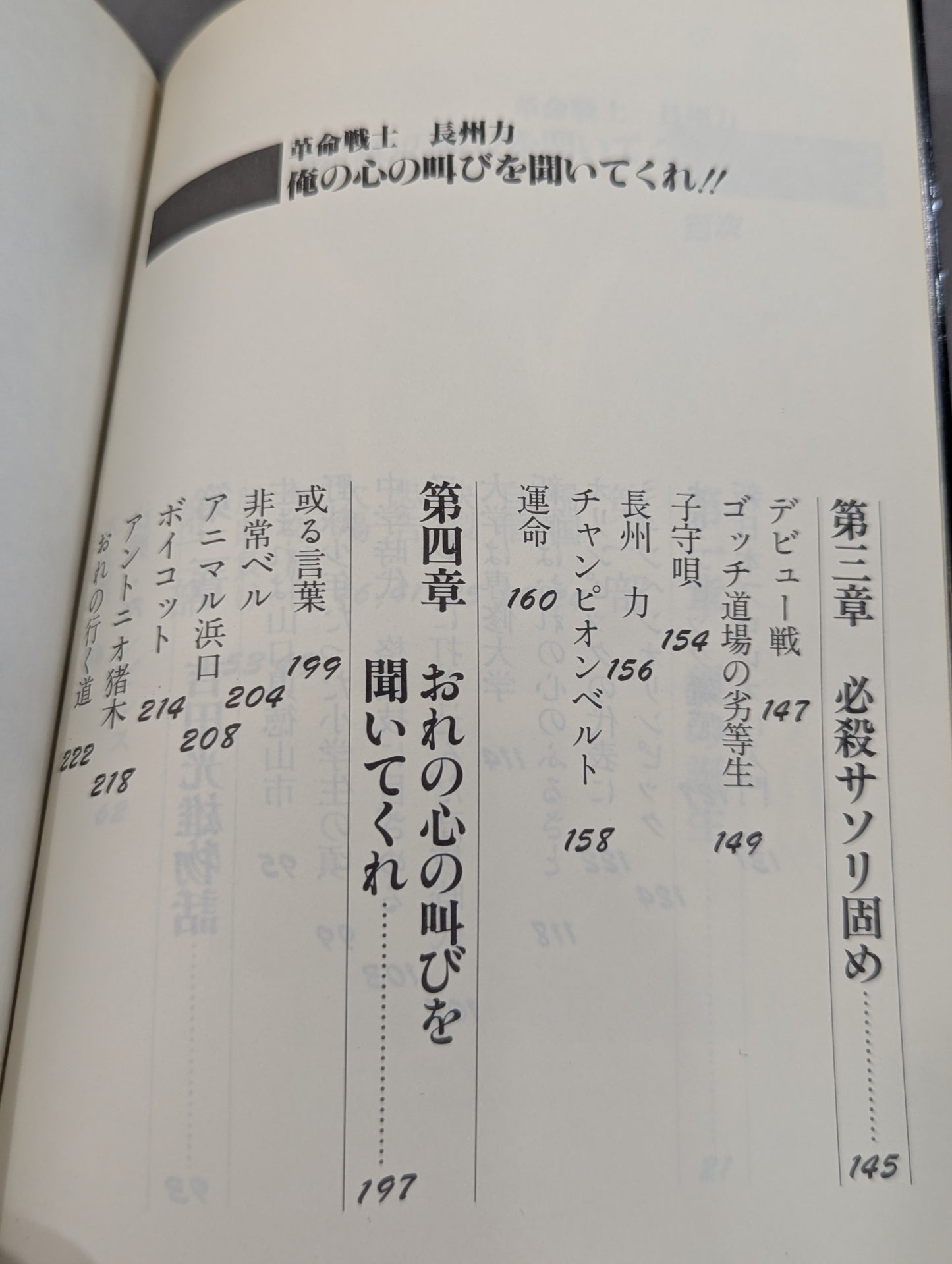革命戦士長州力 俺の心の叫びを聞いてくれ!!