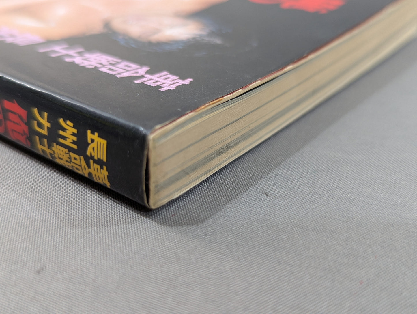 革命戦士長州力 俺の心の叫びを聞いてくれ!!