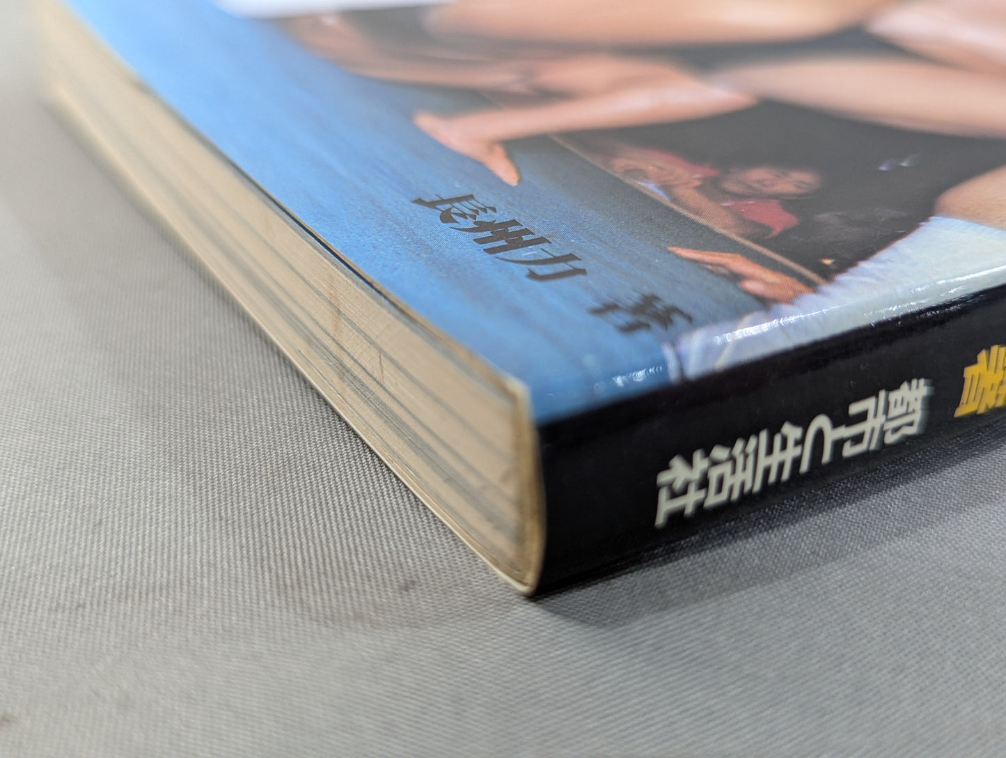 革命戦士長州力 俺の心の叫びを聞いてくれ!!