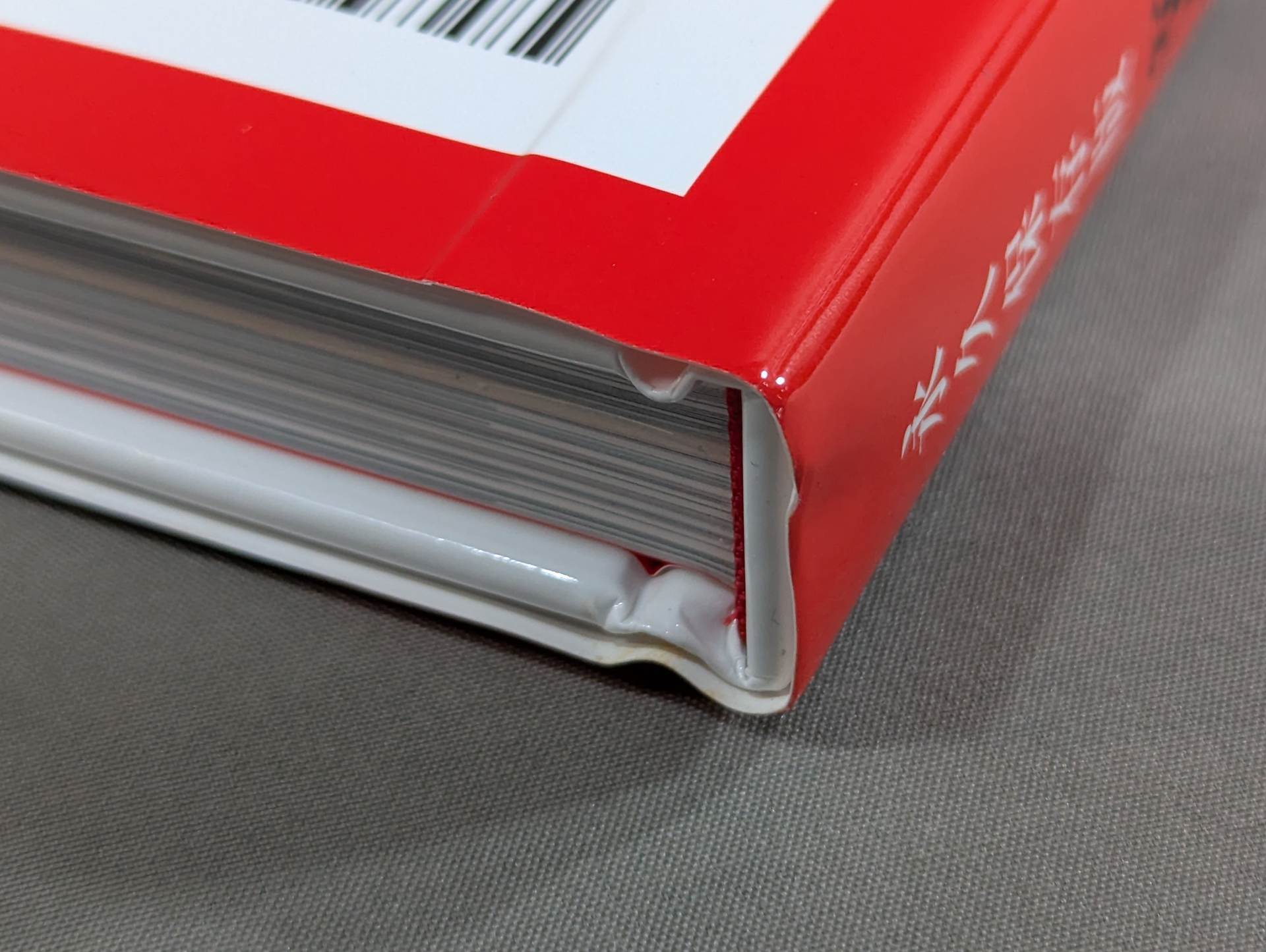 ジャイアント馬場 永久保存版 写真集 – 闘道館