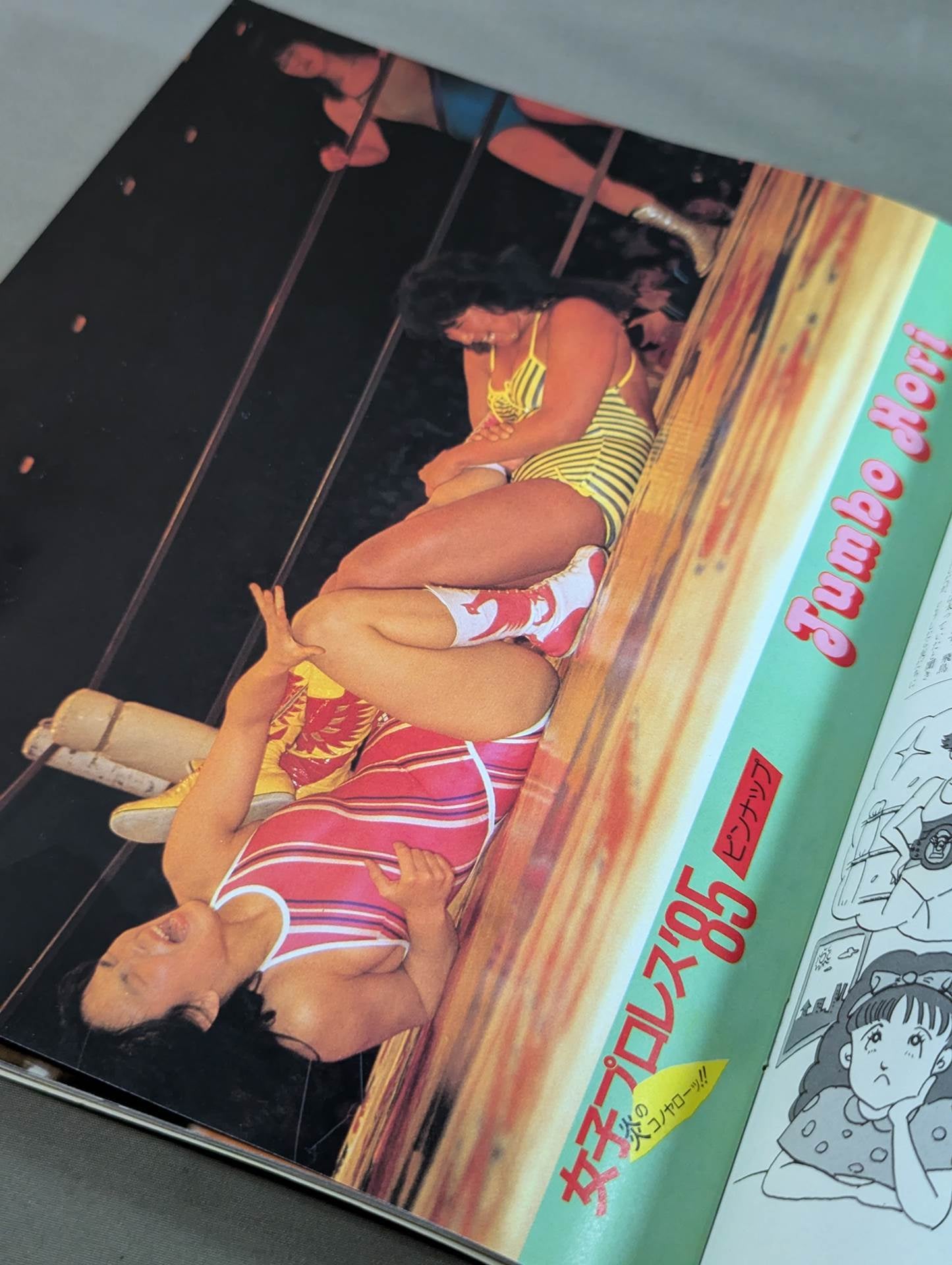 女子プロレス’85 炎のコノヤローッ!!