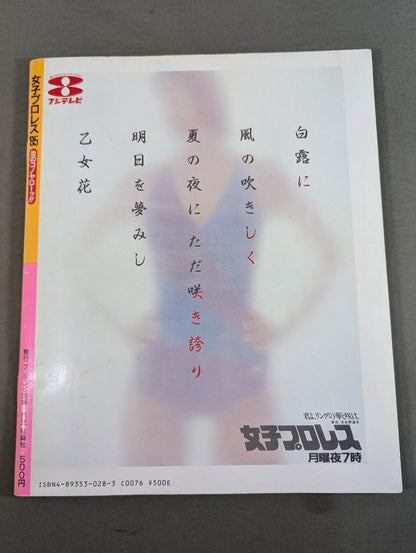女子プロレス’85 炎のコノヤローッ!!