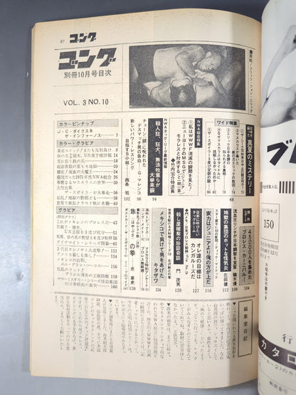別冊ゴングVol.3 No.10