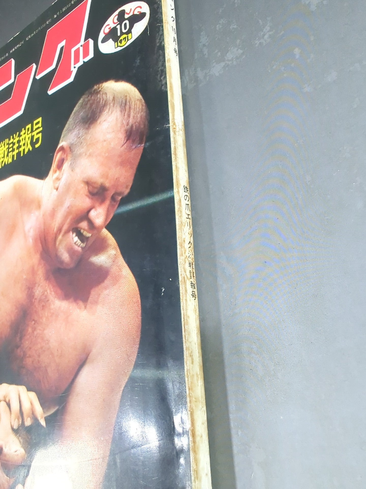 別冊ゴングVol.3 No.10