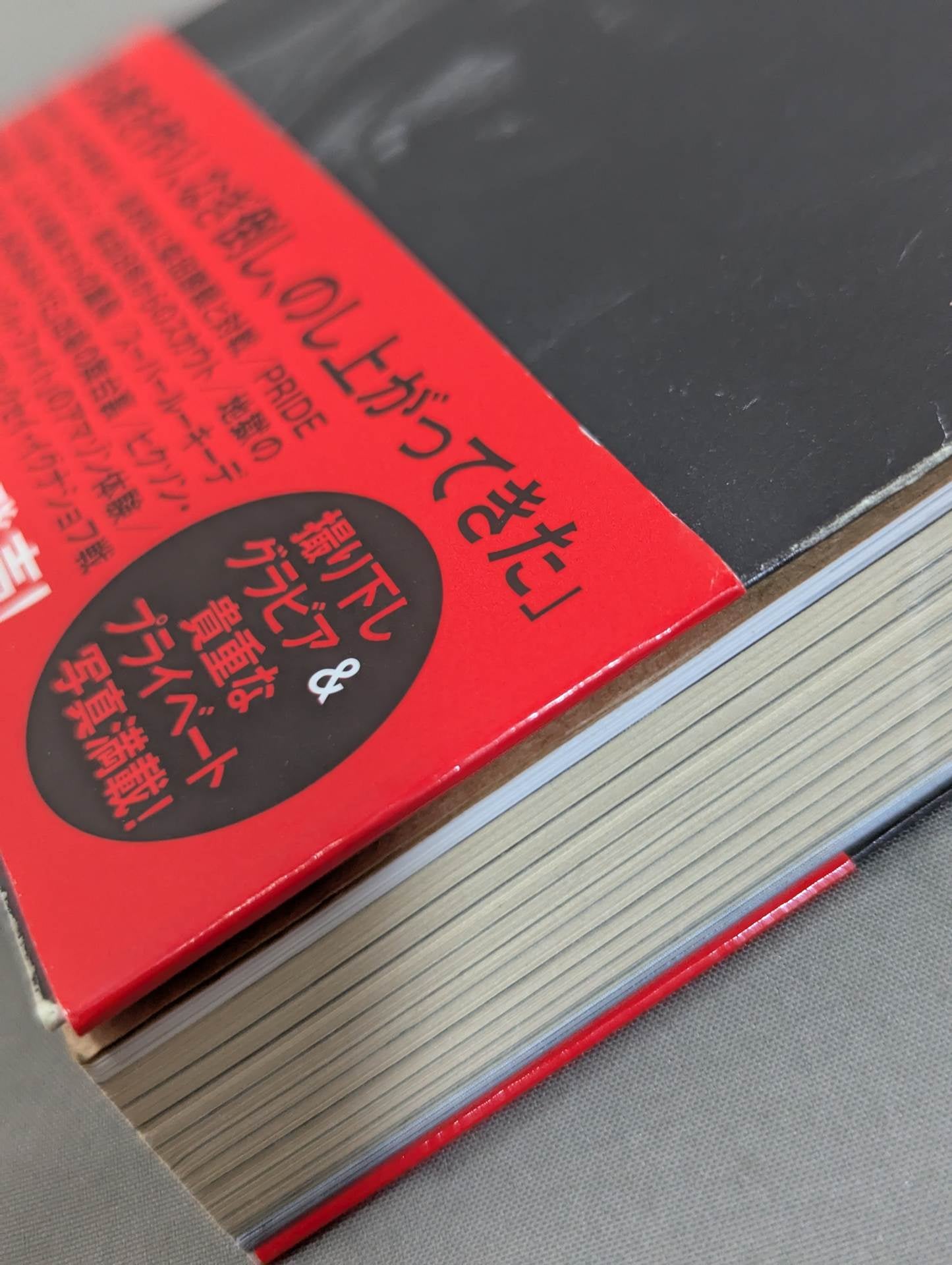 【直筆サイン入り＆購入特典付】中邑真輔自伝 キング・オブ・ストロングスタイル 1980-2004 上巻