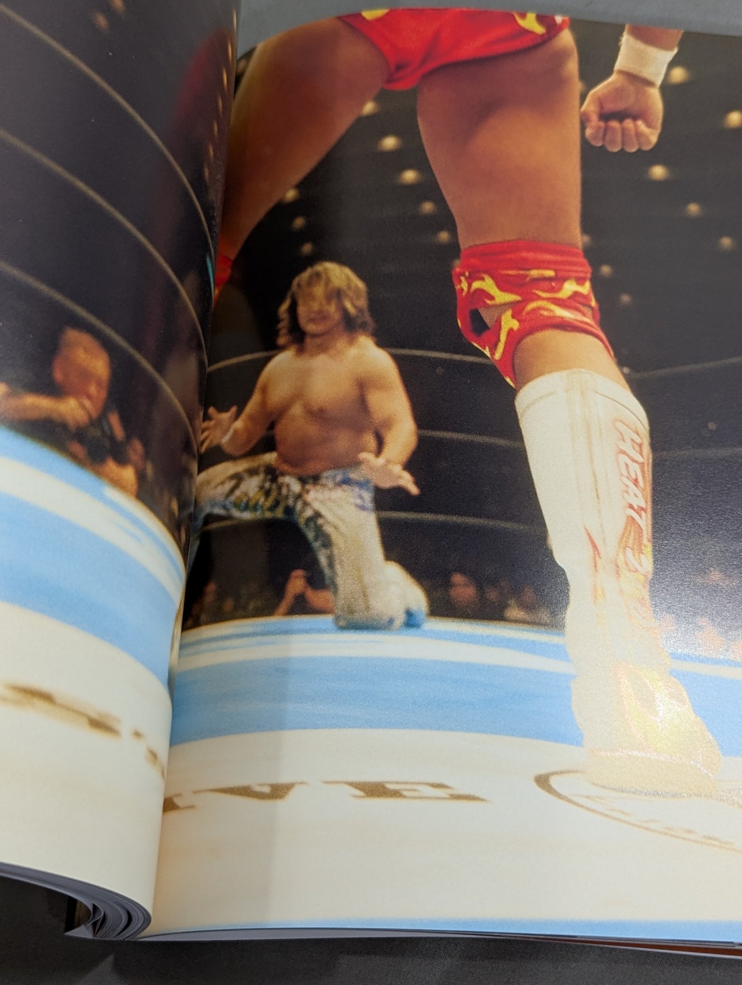 Hiroshi Tanahashi  photo  Episode ACE/100