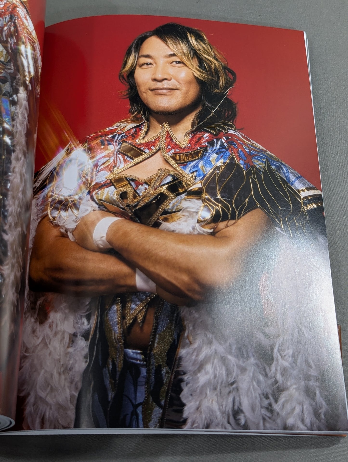 Hiroshi Tanahashi  photo  Episode ACE/100