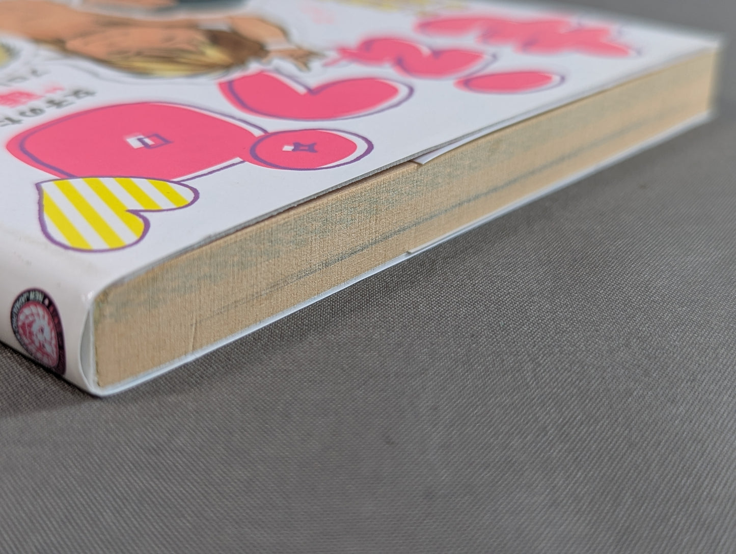 もえプロ 女子のための"萌える"プロレスガイドブック