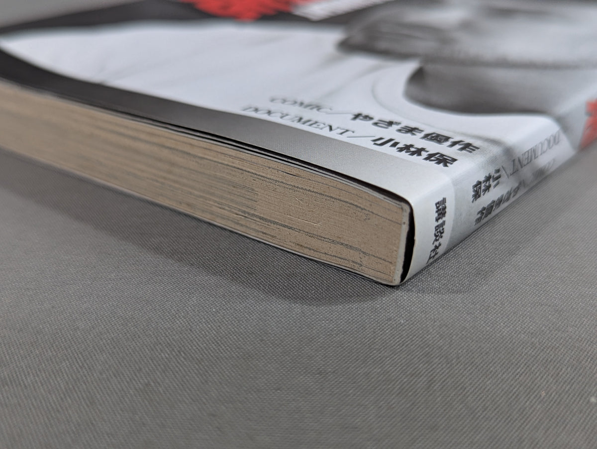 COMIC&DOCUMENT Kazushi Sakuraba