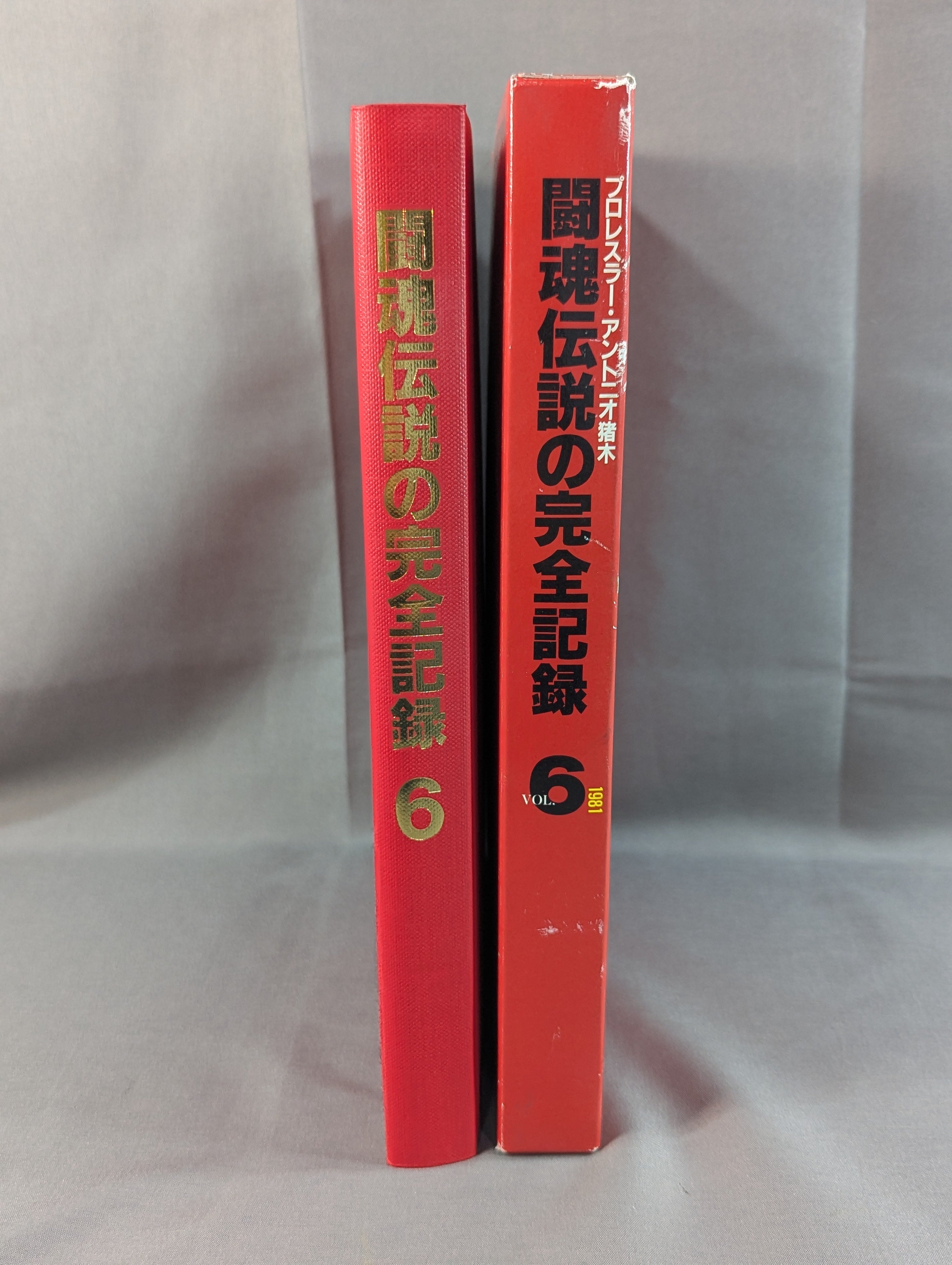 闘魂伝説の完全記録 Vol.6 NWFベルトヒストリー/ローランド・ボックと