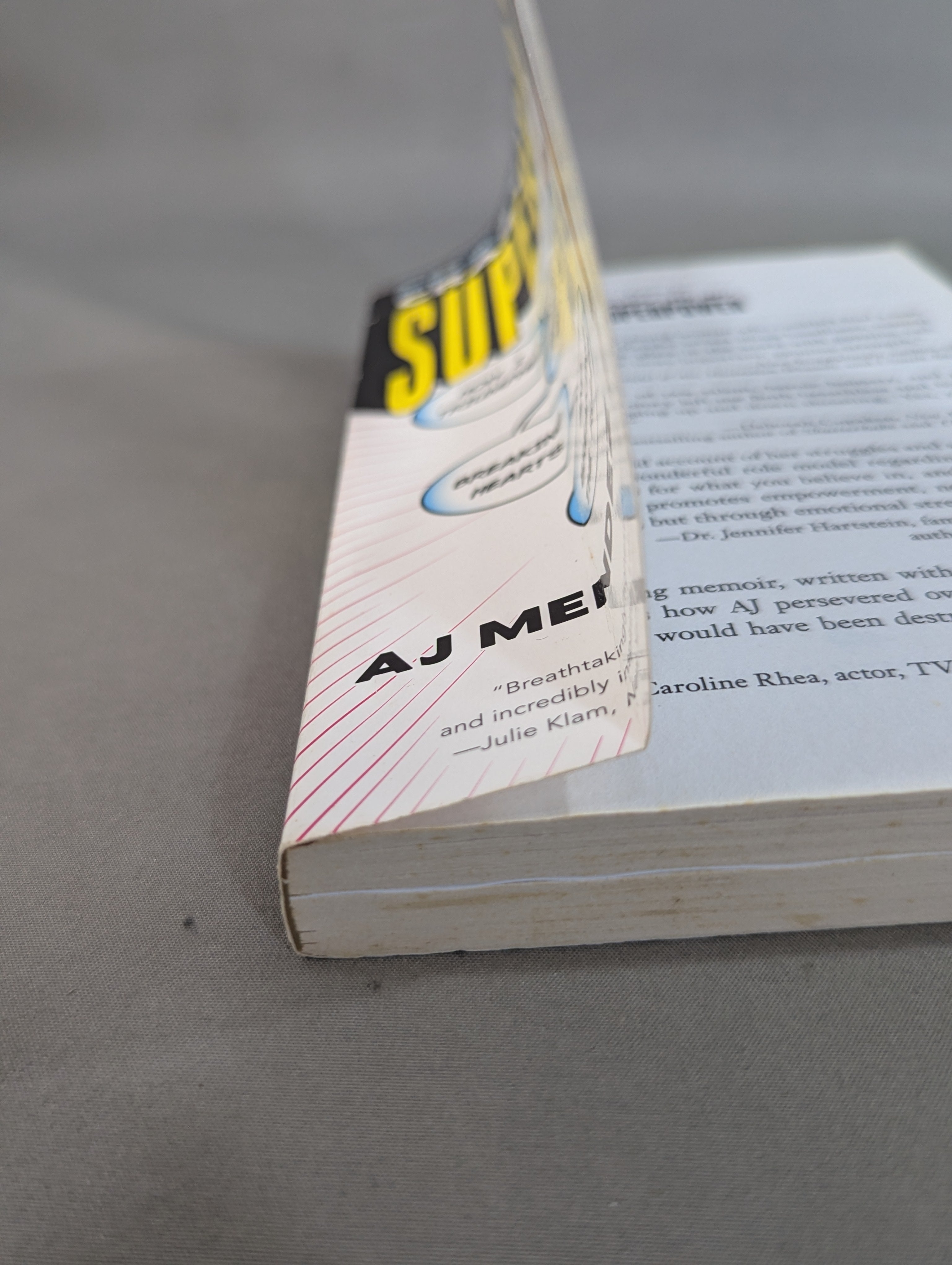 Crazy Is My Superpower – 闘道館