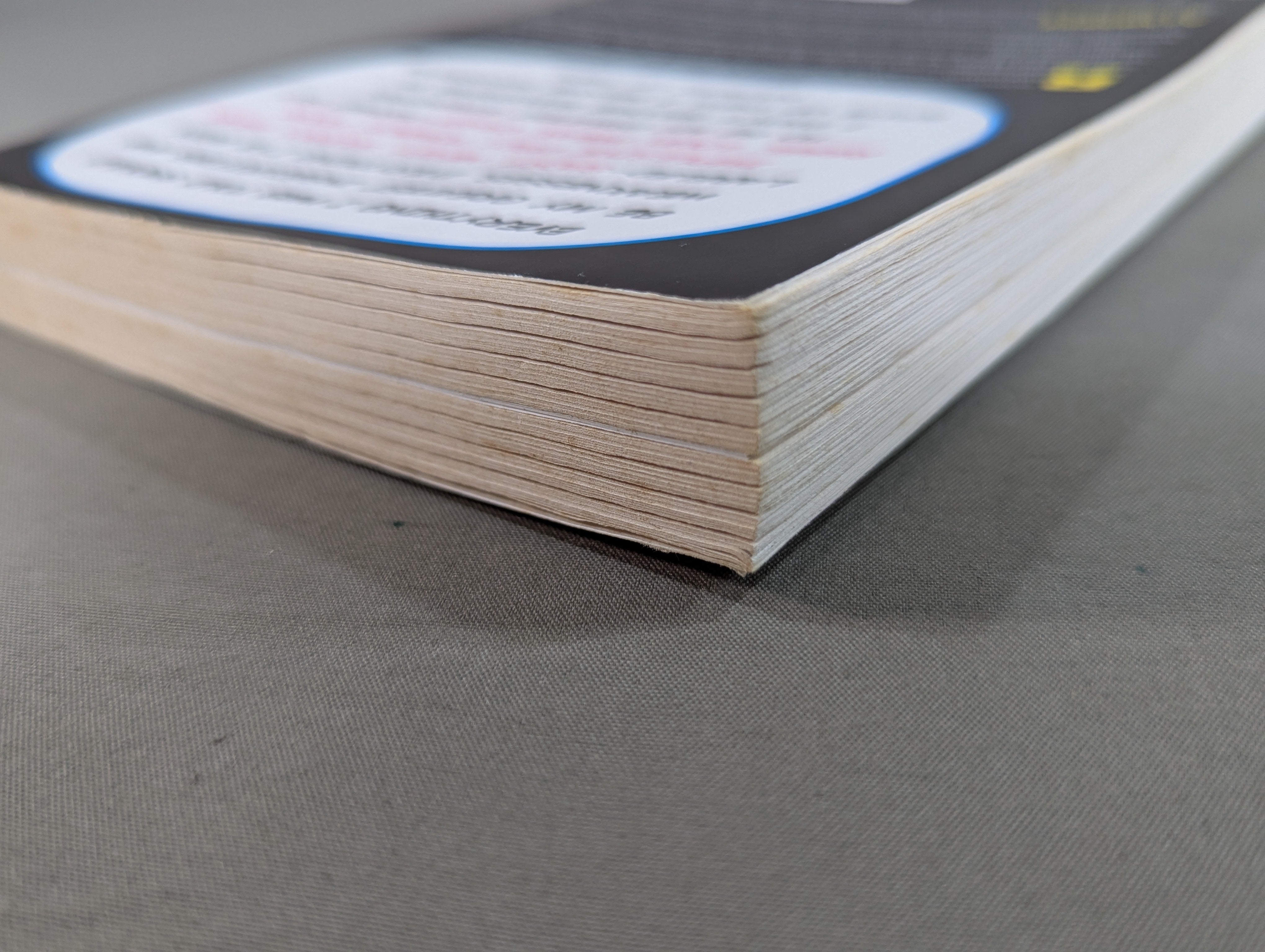 Crazy Is My Superpower – 闘道館