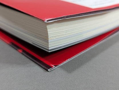 Bruiser Brody  My intellectual rebel