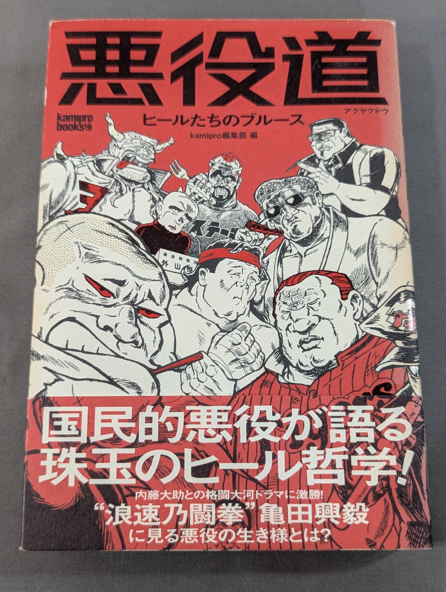 悪役道 ヒールたちのブルース