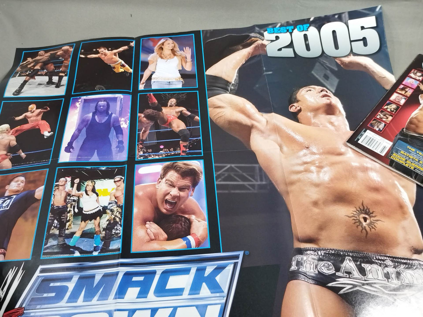 WWE BEST OF 2005
