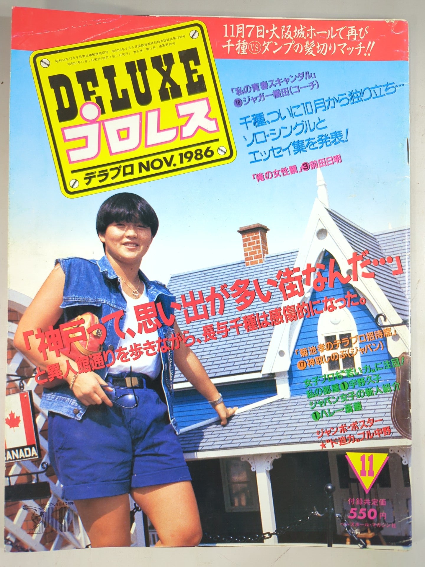 デラックスプロレス 1986年11月号