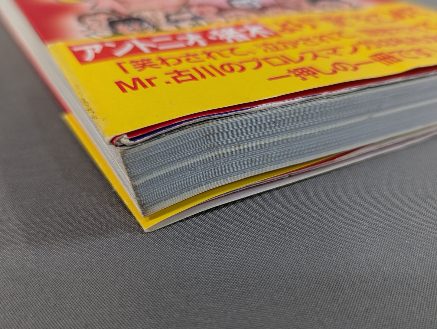 Oh~tto! Dangerous Manga Pro Wrestling  Poison Book