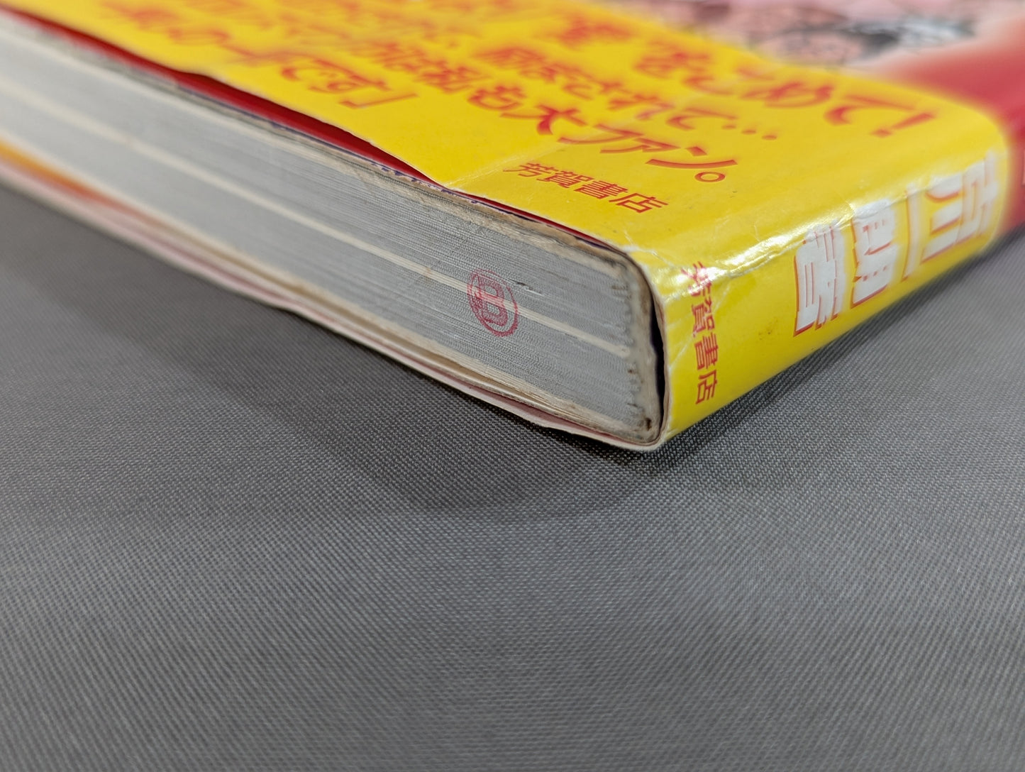 Oh~tto! Dangerous Manga Pro Wrestling  Poison Book