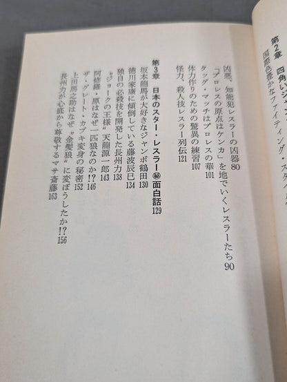 Pro Wrestling Geragera BOOKPART2 You're laughing too much, ring out