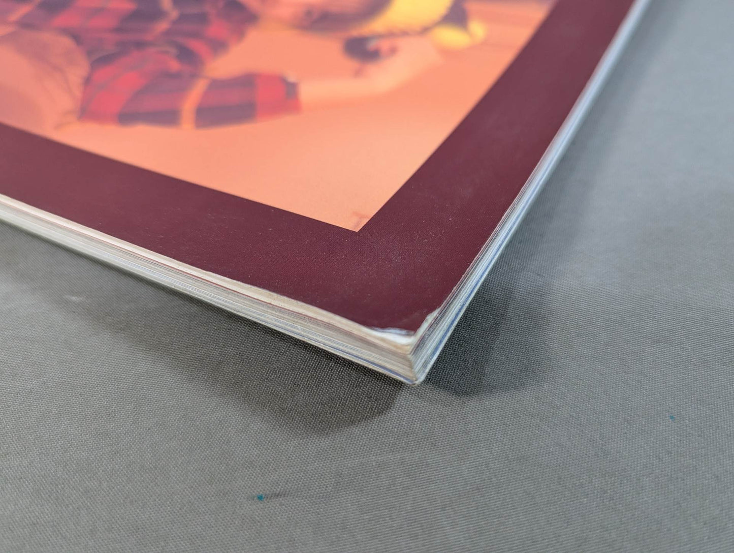 【hand signed autograph】 Takako Inoue photo Collection Sel:FISH Selfish