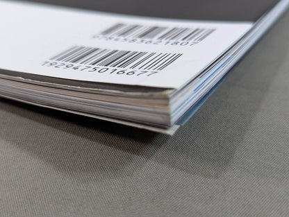 Masahiro Chono  Debut 30th Anniversary photo  collection Permanent preservation version