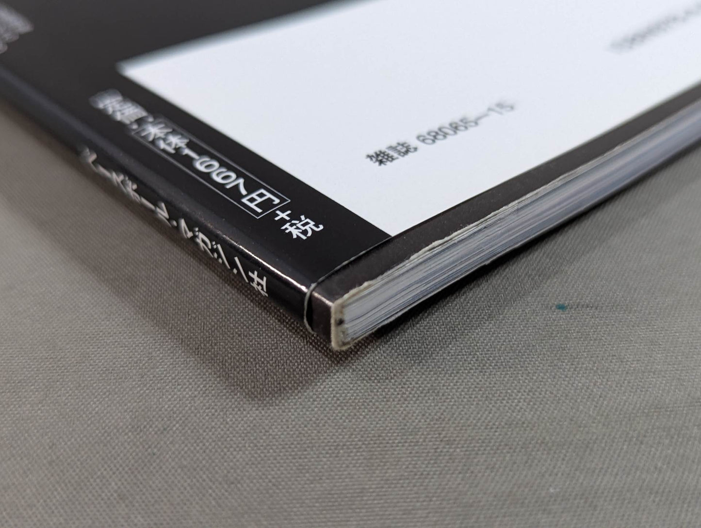 Masahiro Chono  Debut 30th Anniversary photo  collection Permanent preservation version