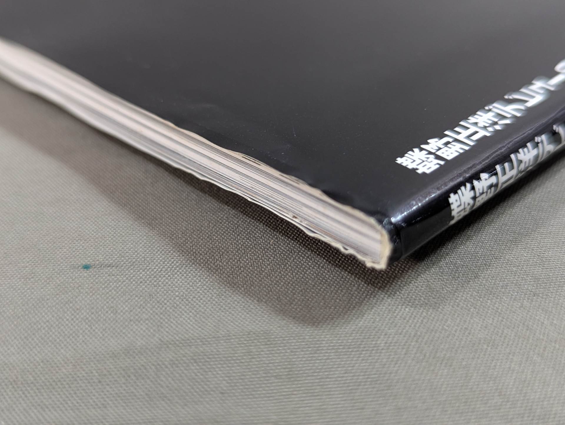 蝶野正洋 デビュー30周年記念写真集 永久保存版 – 闘道館