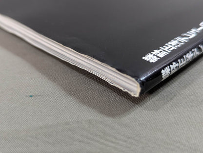 Masahiro Chono  Debut 30th Anniversary photo  collection Permanent preservation version