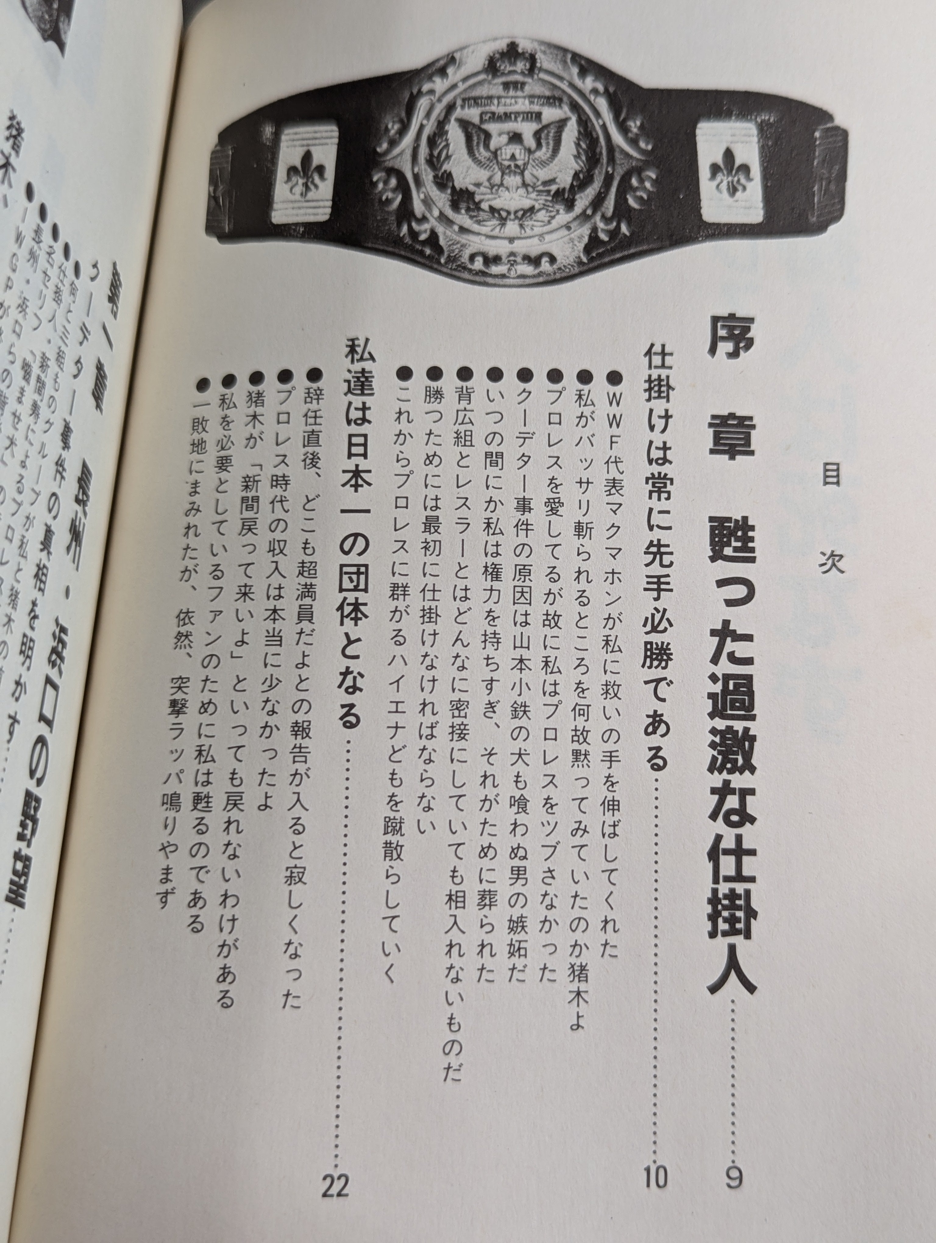 プロレス仕掛人は死なず – 闘道館