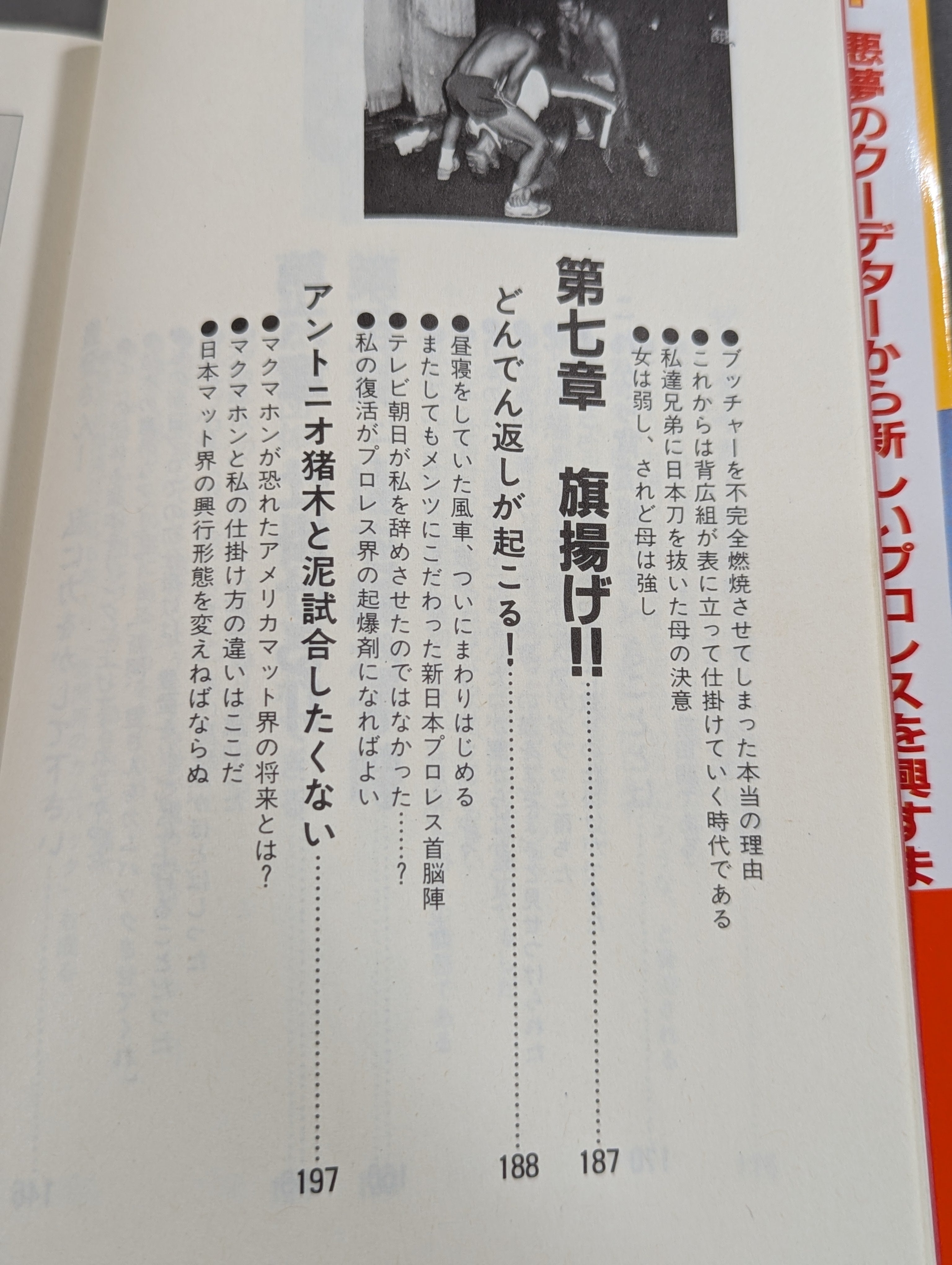 プロレス仕掛人は死なず – 闘道館