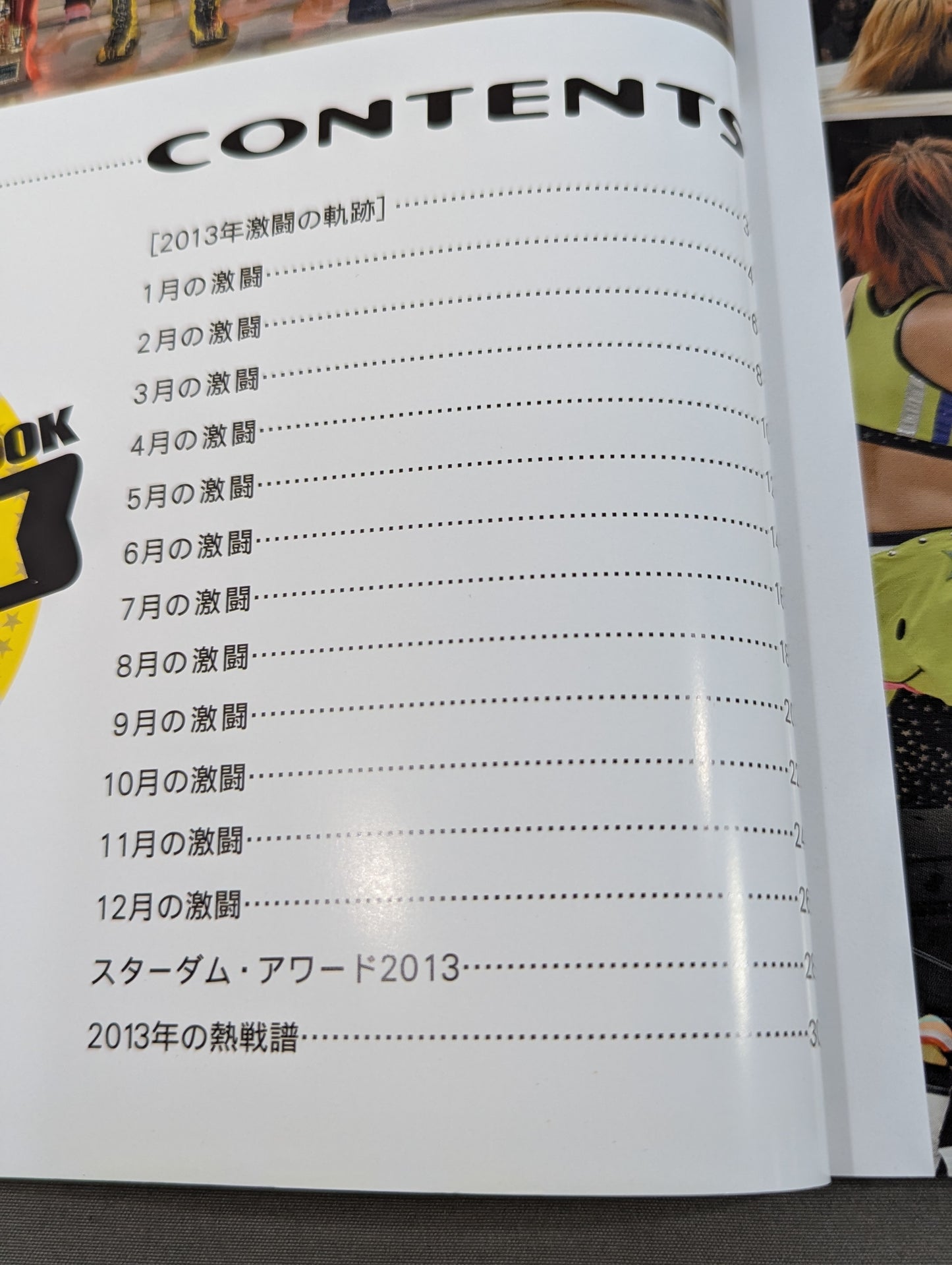 STARDOM YEAR BOOK 2013