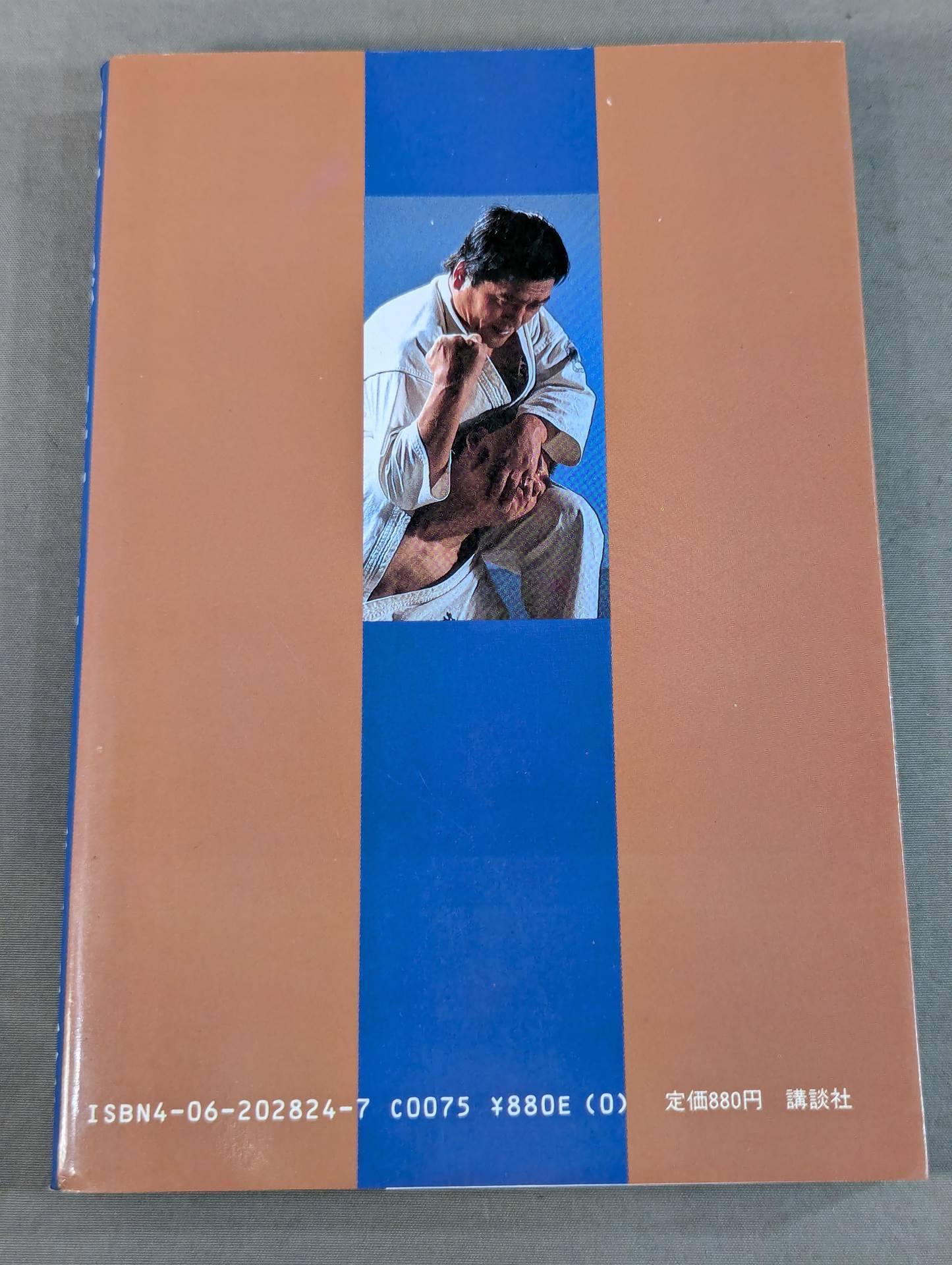 空手に燃え空手に生きる ケンカ十段のサバキ人生