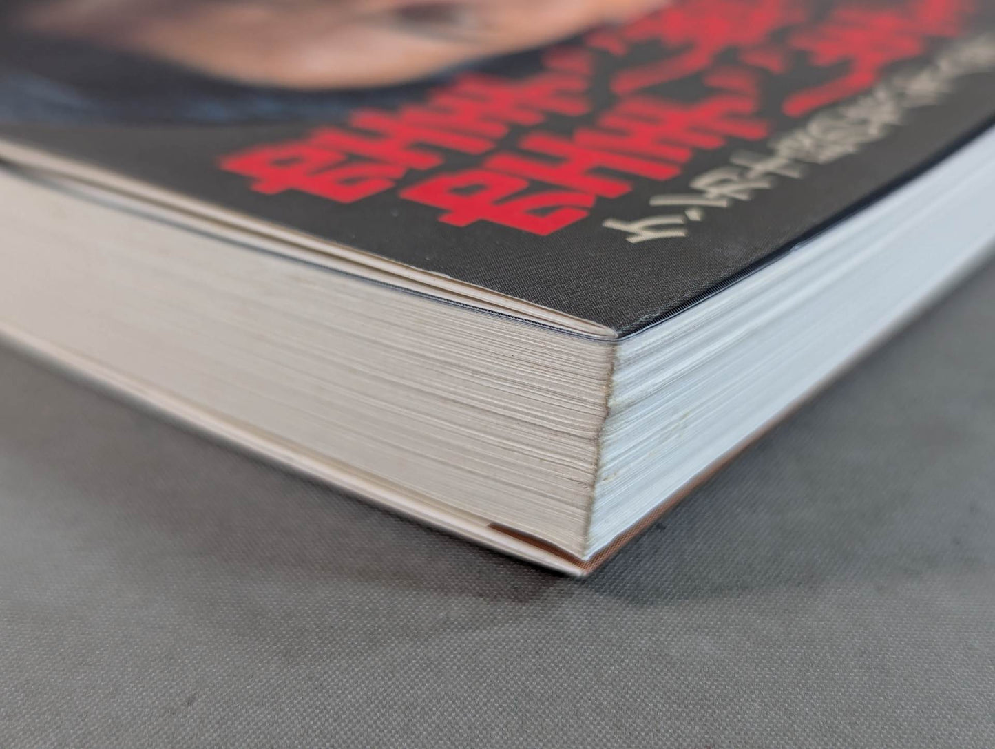 空手に燃え空手に生きる ケンカ十段のサバキ人生