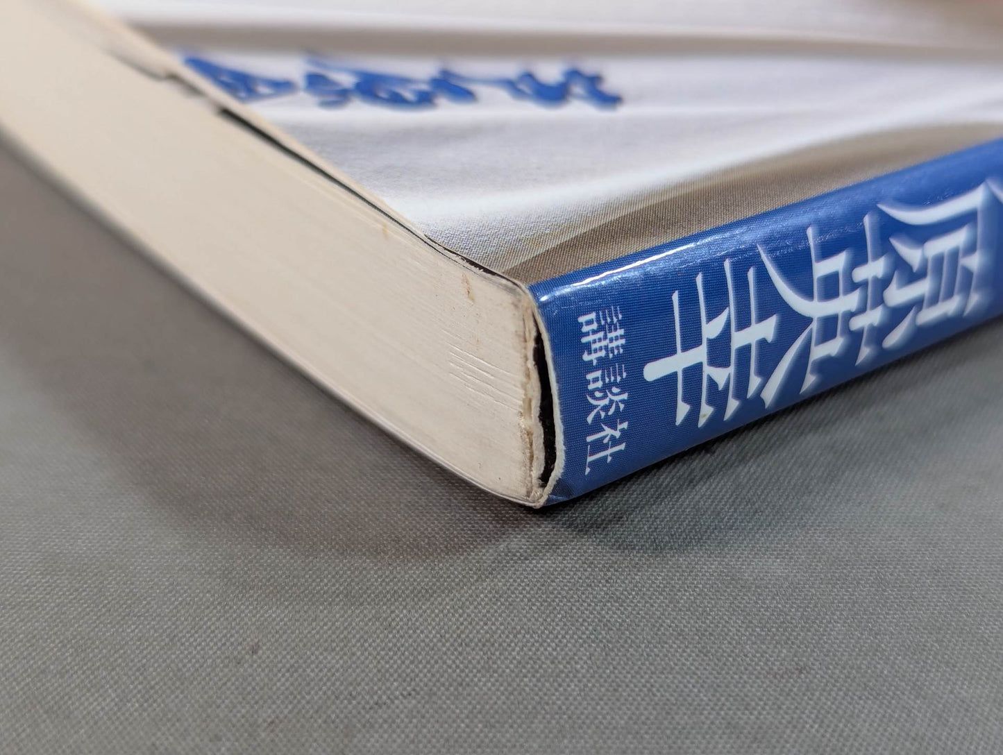 空手に燃え空手に生きる ケンカ十段のサバキ人生