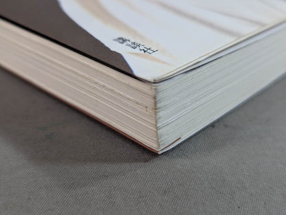 空手に燃え空手に生きる ケンカ十段のサバキ人生